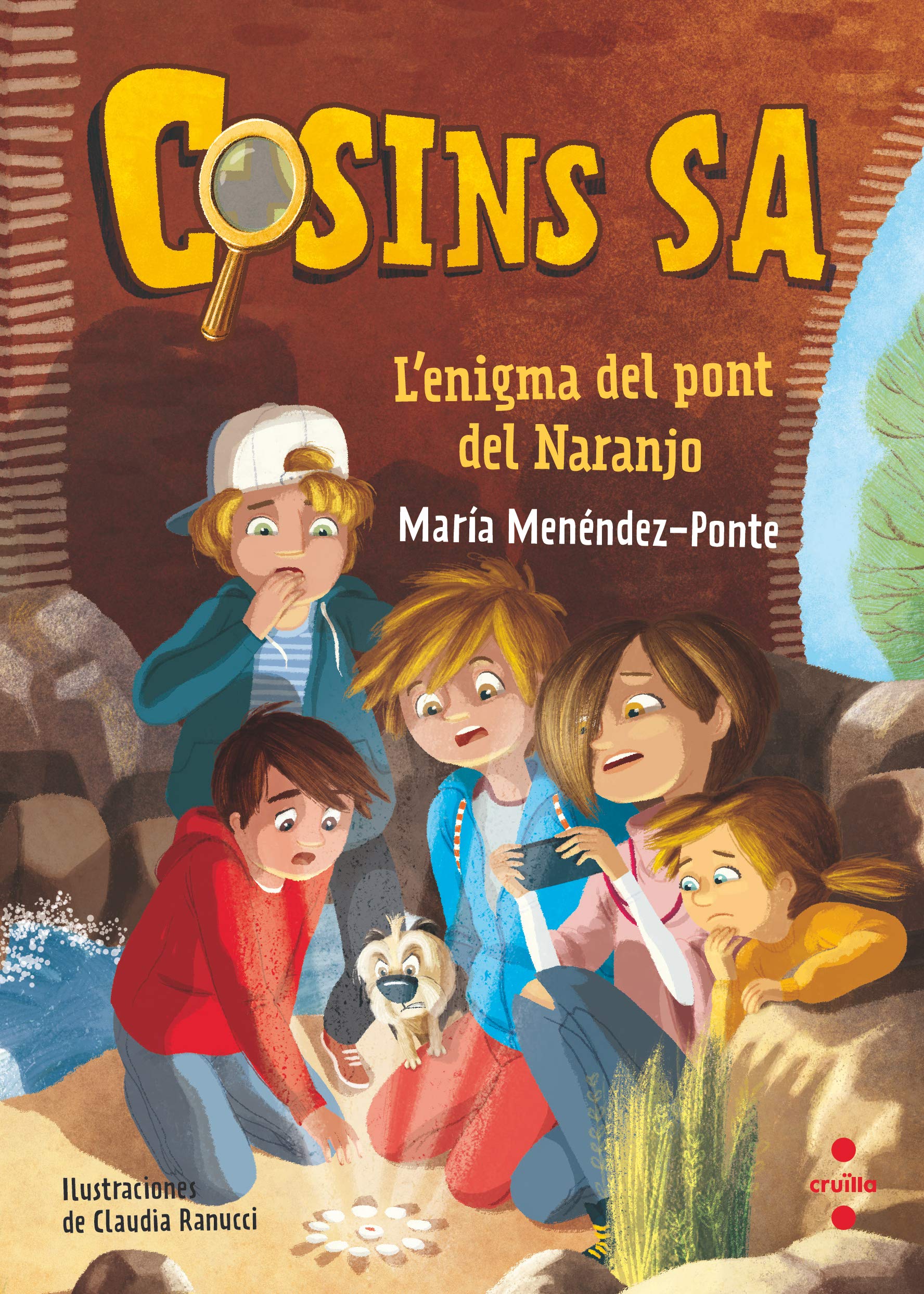 Cosins 2. L'enigma del pont del Naranjo book