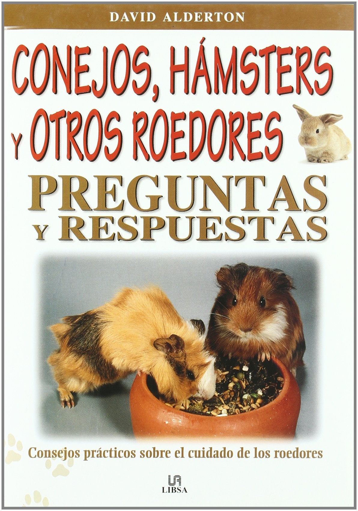 Conejos, hámsters y otros roedores : preguntas y respuestas (Mascotas) Pets