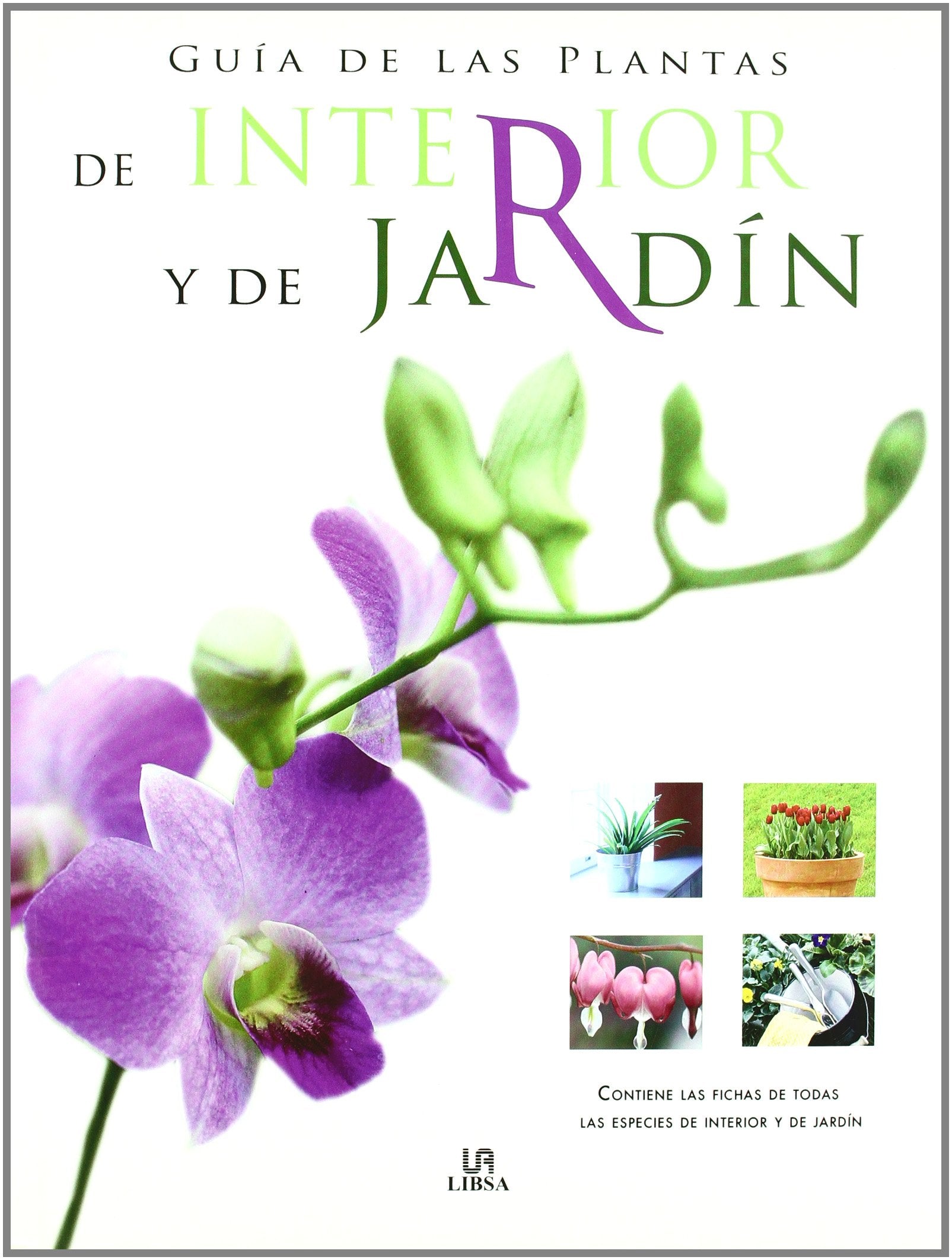 Guia de las plantas de interior y de jardin/ Indoor and Garden Plant Guide book