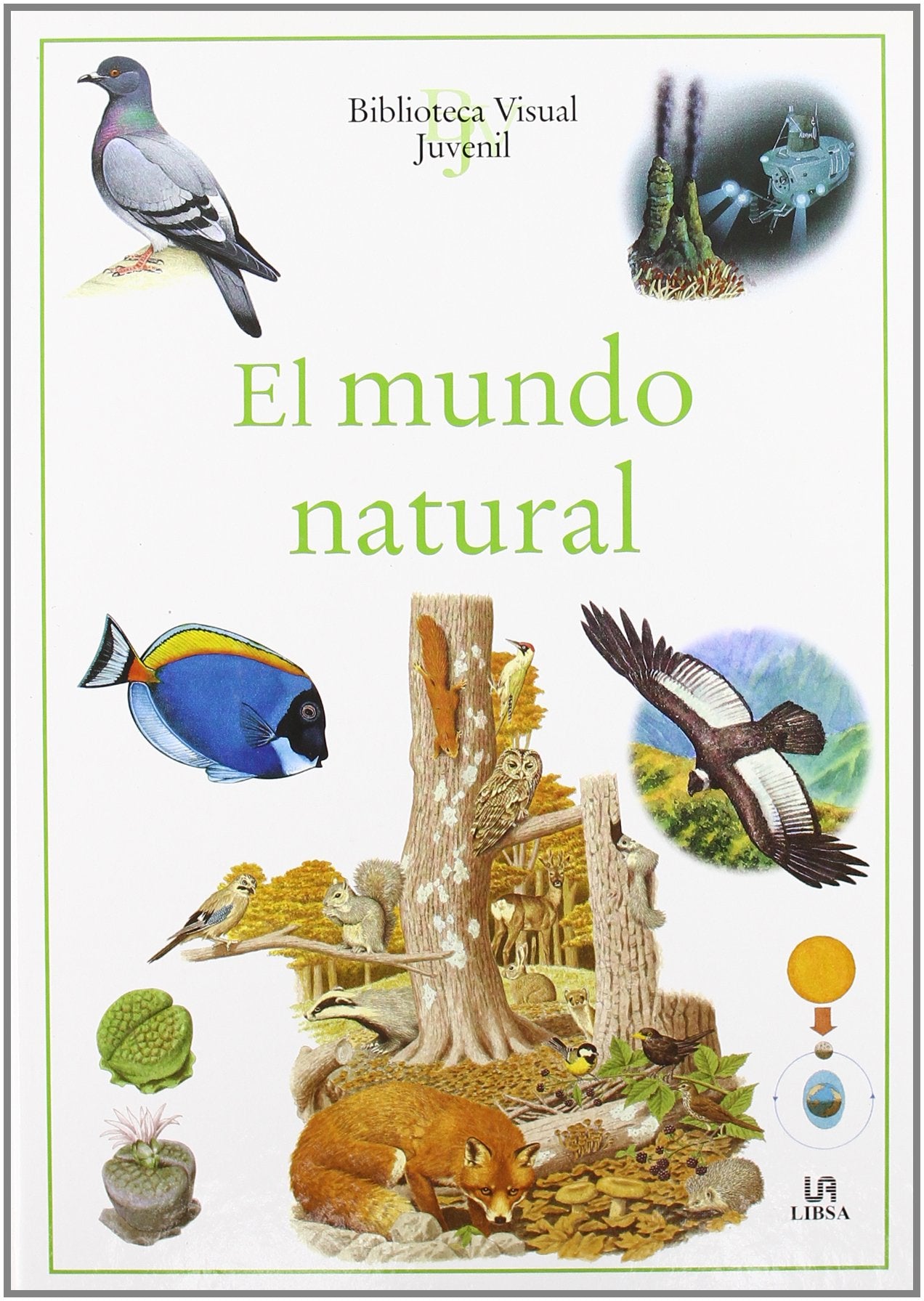 El Mundo Natural (Biblioteca Visual Juvenil, Band 9) Non-fiction