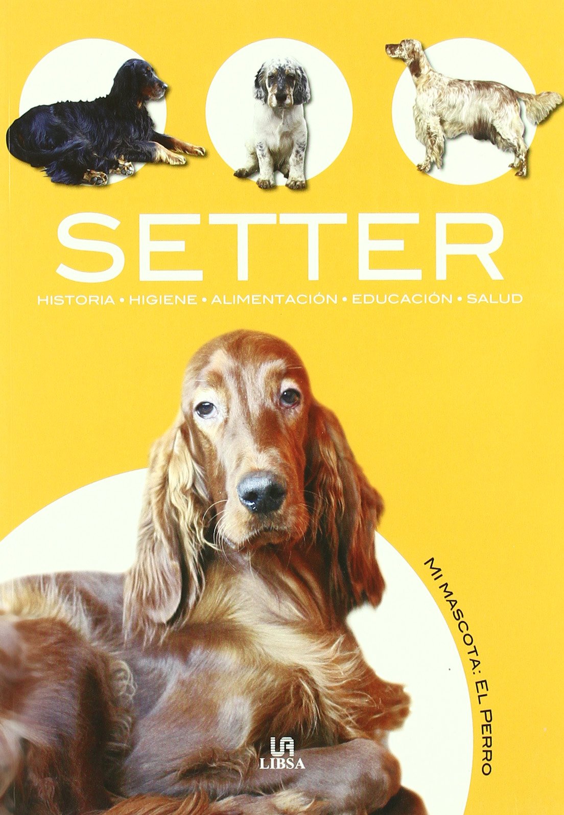 Setter: Historia, Higiene, Alimentacion, Educacion Y Salud/ History, Hygiene, Nutrition, Education and Health Professional & Reference Books