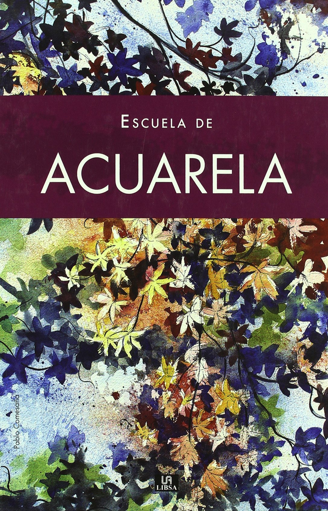 Escuela de acuarela / Watercolor School book