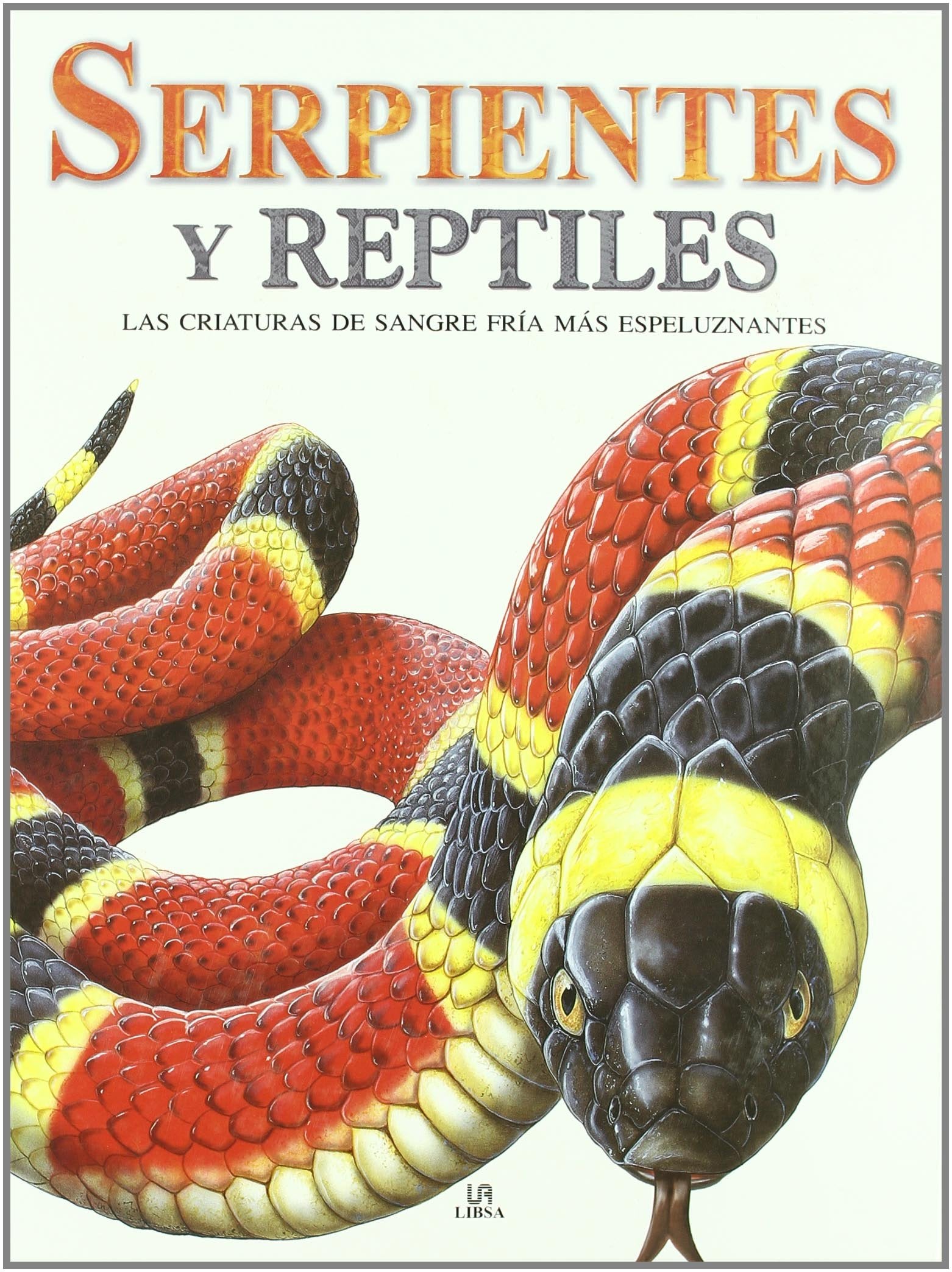 Serpientes y reptiles / Snakes and Reptiles: Las criaturas de sangre fria mas espeluznantes / The Scariest Cold-Blooded Creatures on Earth book