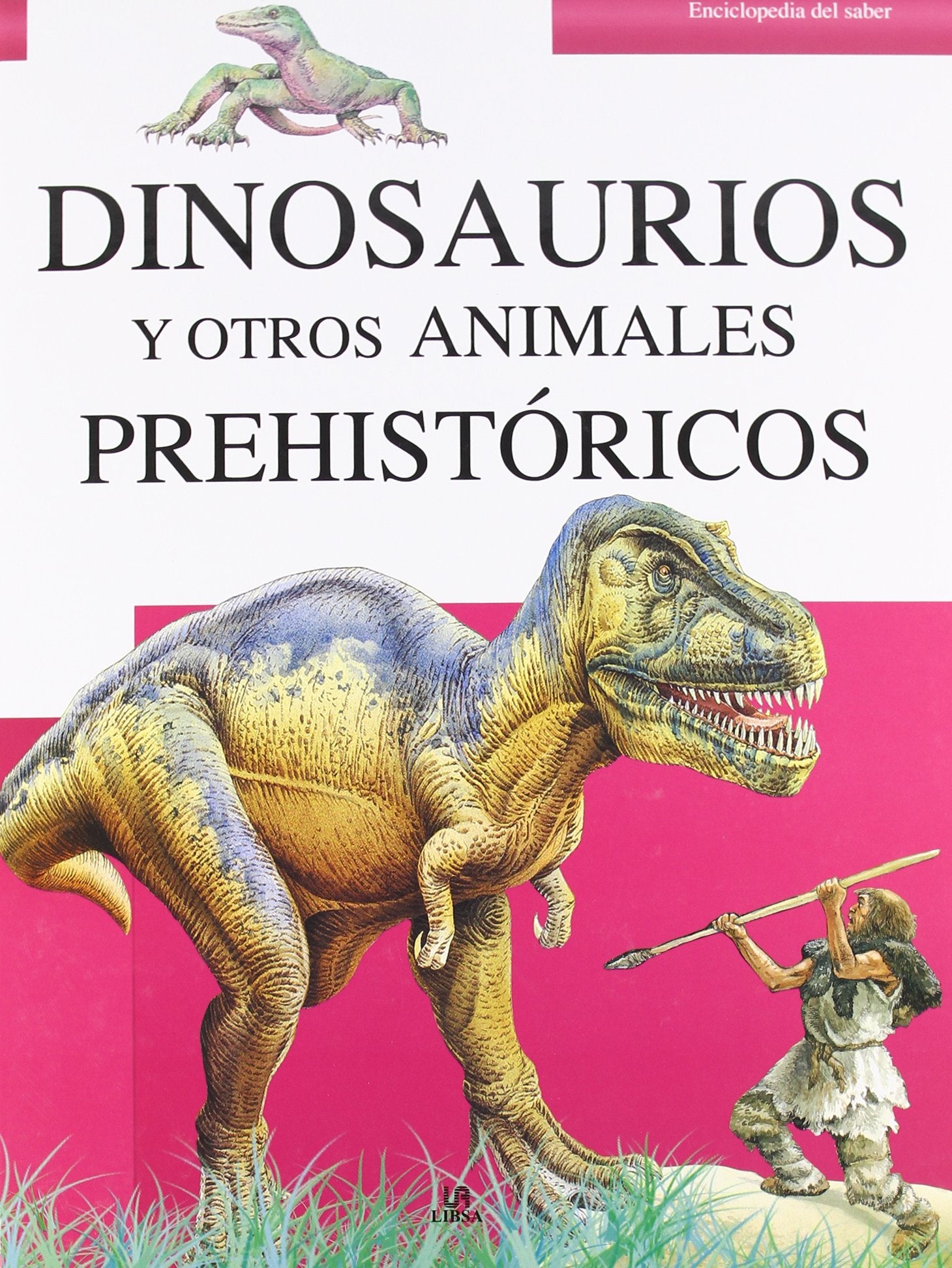 Dinosaurios y otros animales prehistoricos / Dinosaurs and Other Prehistoric Animals book