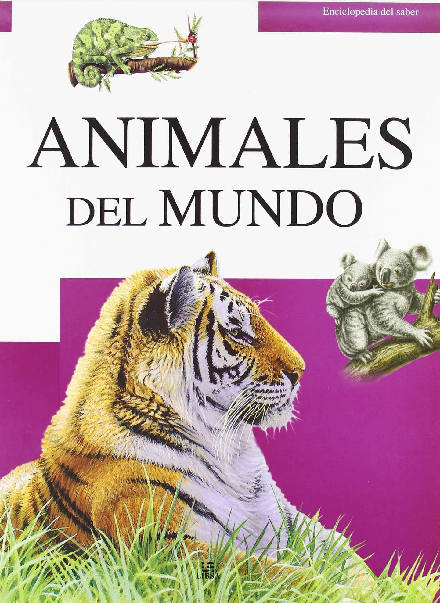 Animales del Mundo (Enciclopedia del Saber, Band 4) Non-fiction