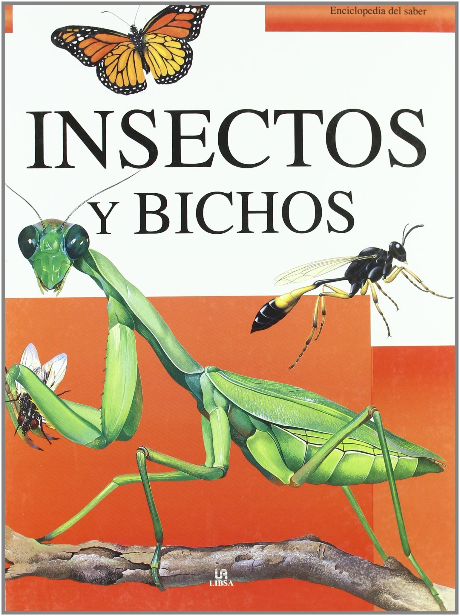Insectos y Bichos (Enciclopedia del Saber, Band 8) Non-fiction