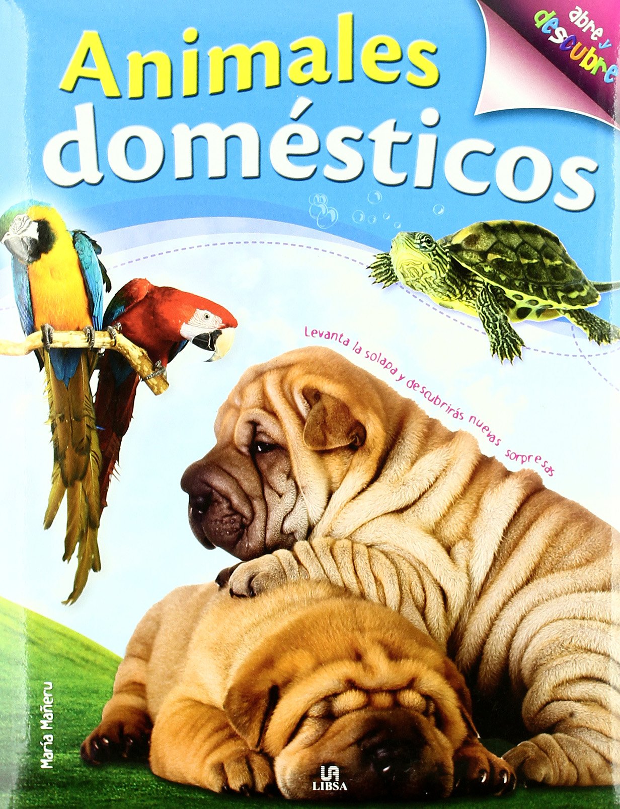 Animales domesticos / Pets book