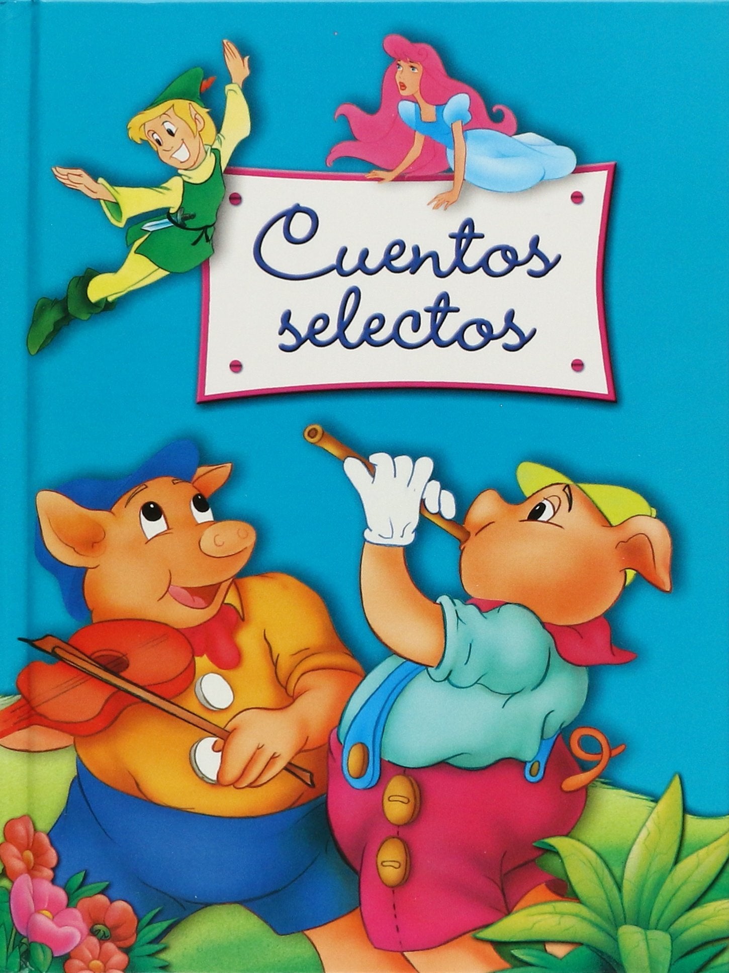 cuentos selectos ( biblioteca de cuentos) book