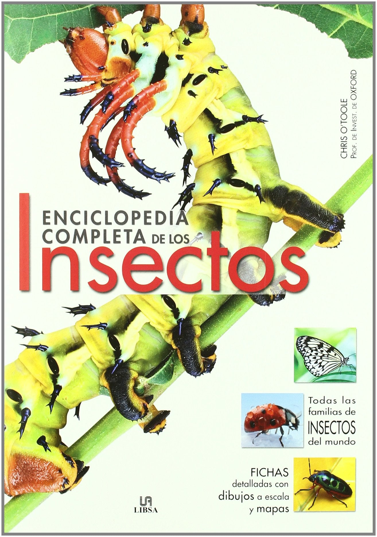 Enciclopedia de los insectos (Grandes Obras) Mathematics