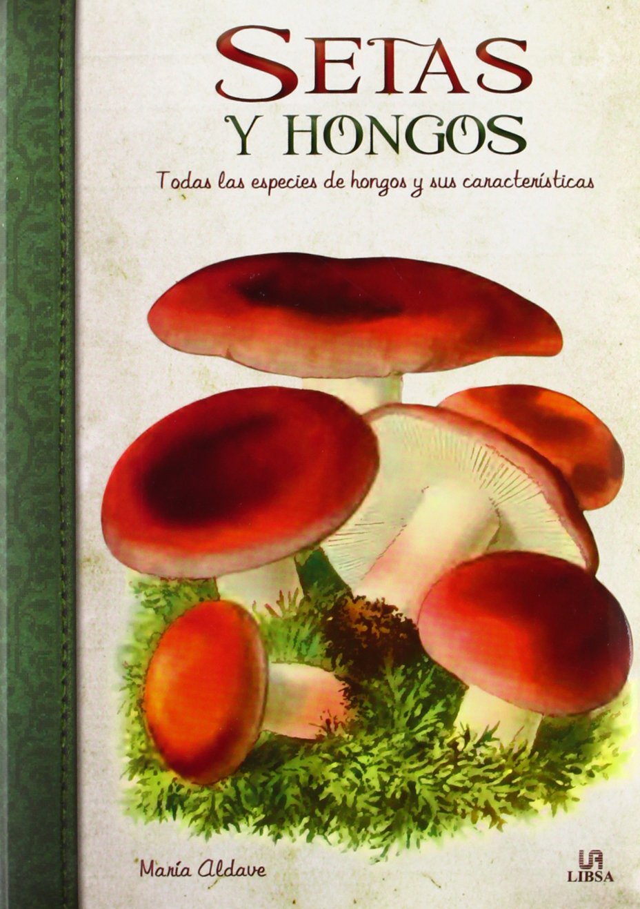 Setas y hongos (Obras singulares, Band 3) Learning & Reference