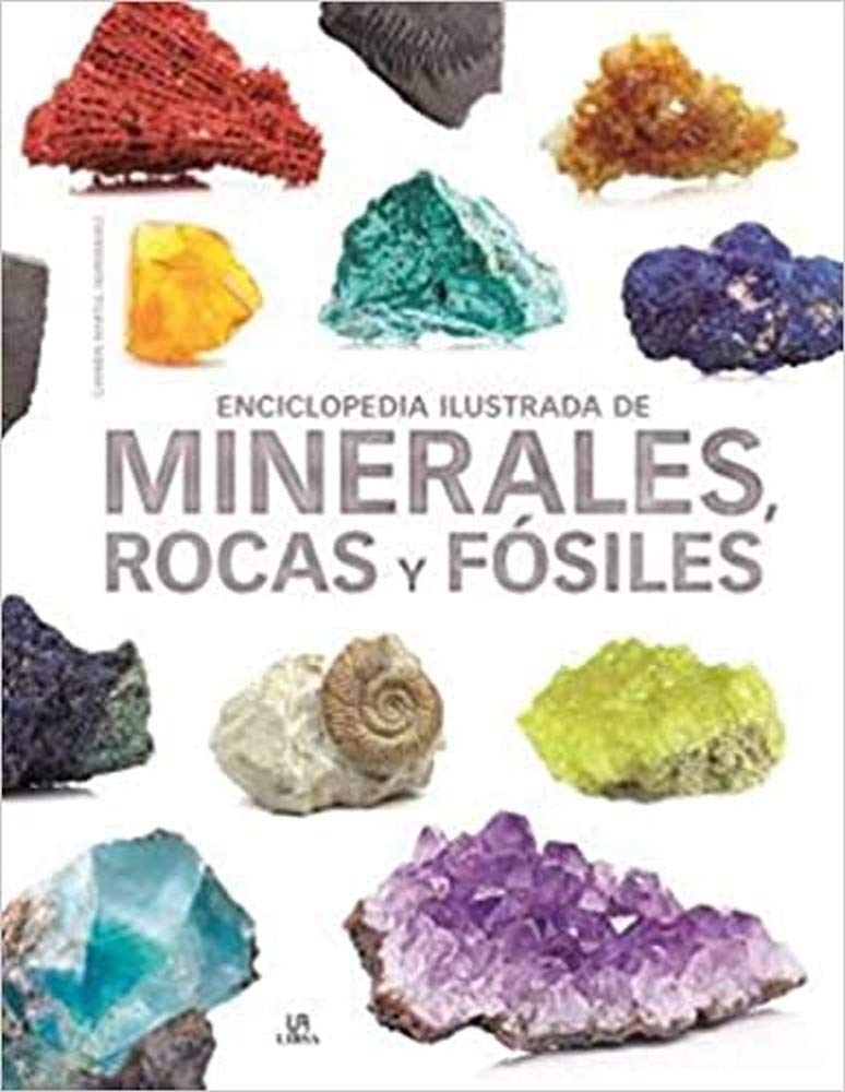 Enciclopedia Ilustrada de Minerales, Rocas y Fósiles book