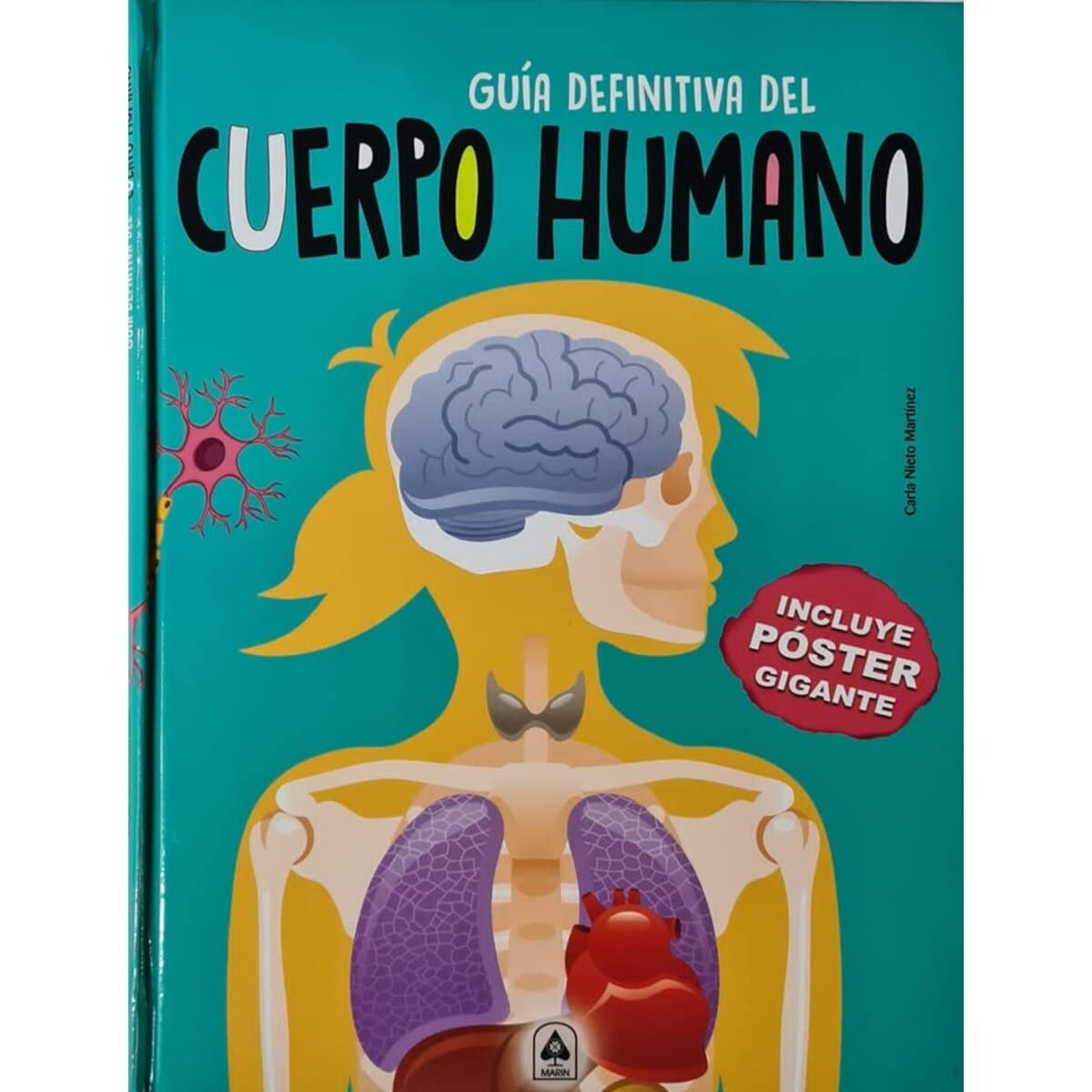 Guía definitiva del cuerpo humano/ Definitive Guide to the Human Body book
