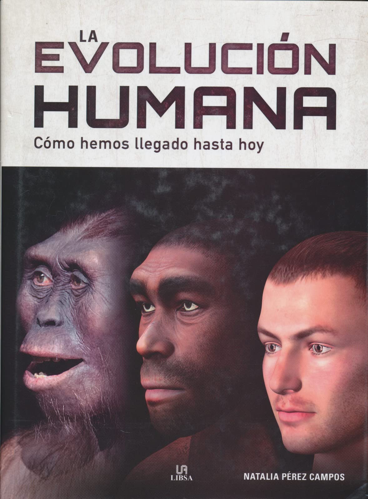 La evolución humana / Human Evolution: Como Hemos Llegado Hasta Hoy book