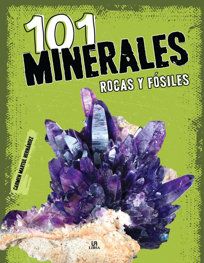 101 Minerales Rocas y Fósiles (Explora 101..., Band 4) Non-fiction
