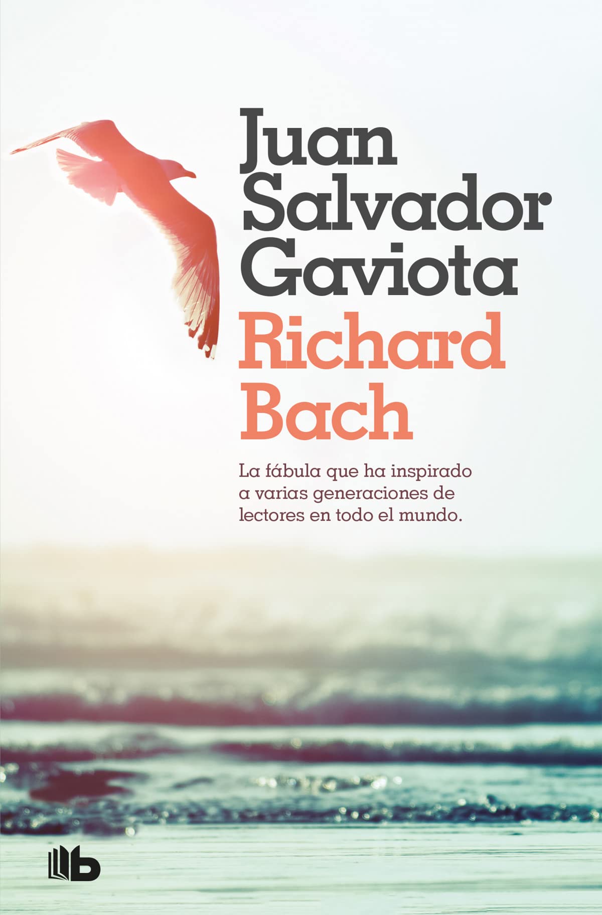 Juan Salvador gaviota (Punto De Lectura) Books