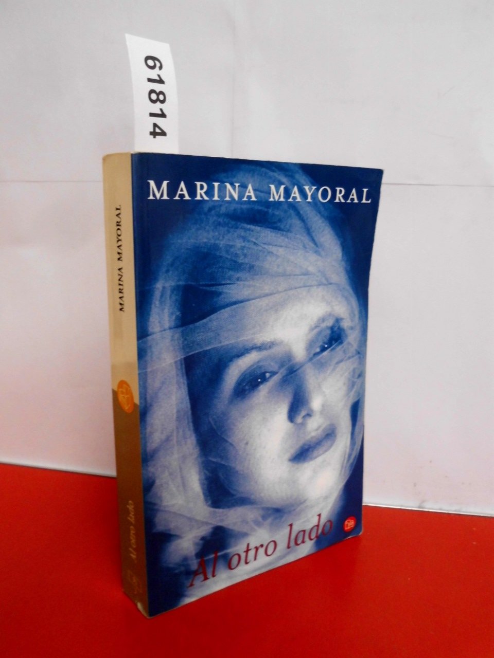AL OTRO LADO PDL MARINA MAYORAL Books