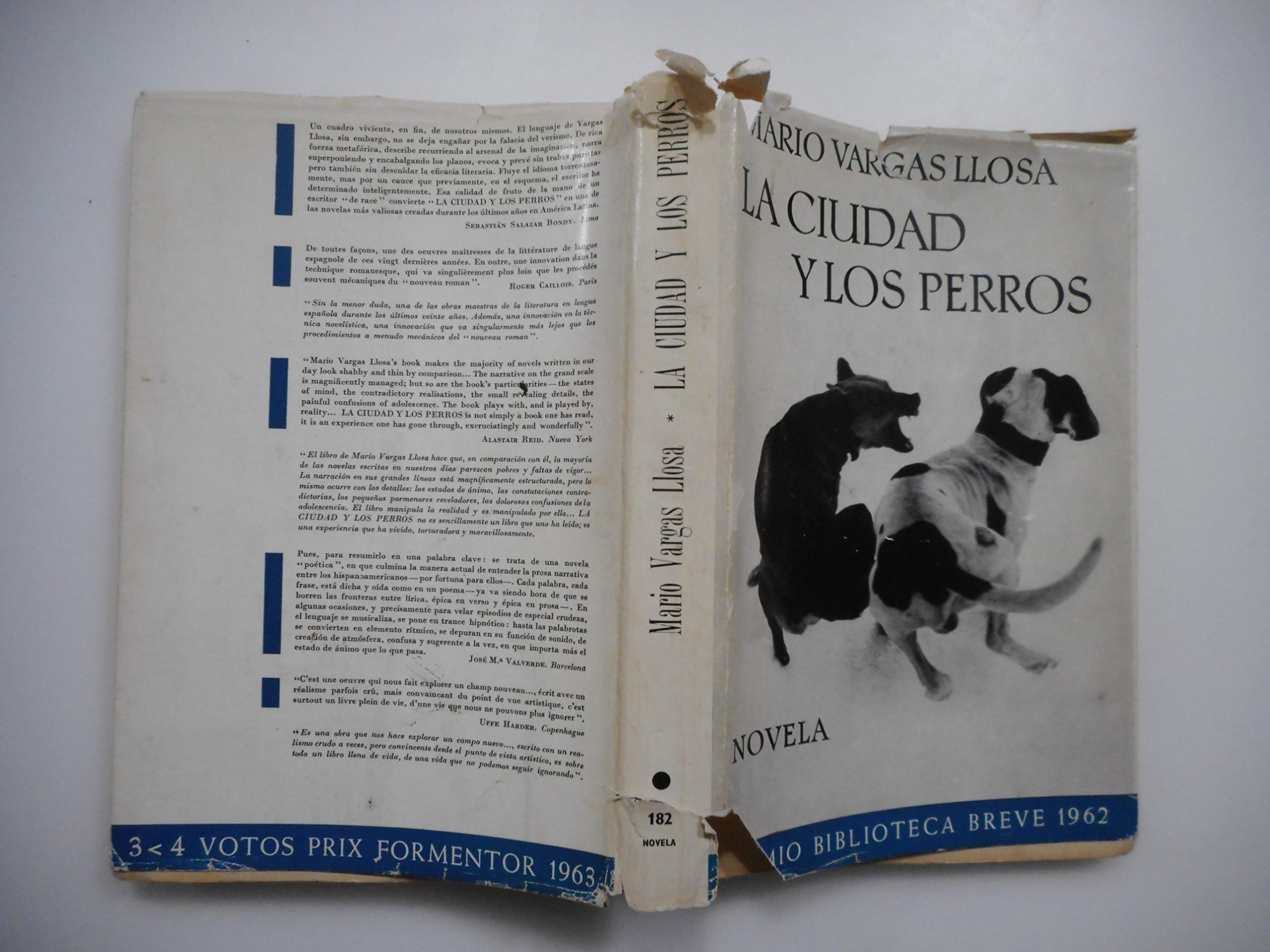La Ciudad Y Los Perros Contemporary literature