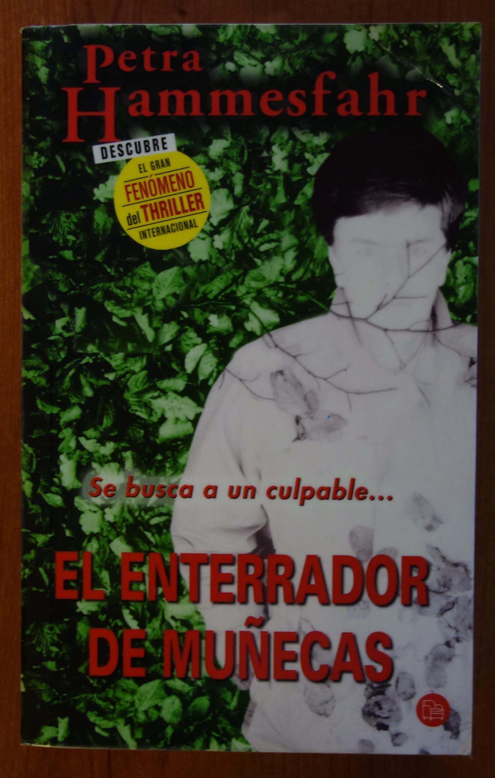 EL ENTERRADOR DE MUÑECAS PDL PETRA HAMMESFAHR book