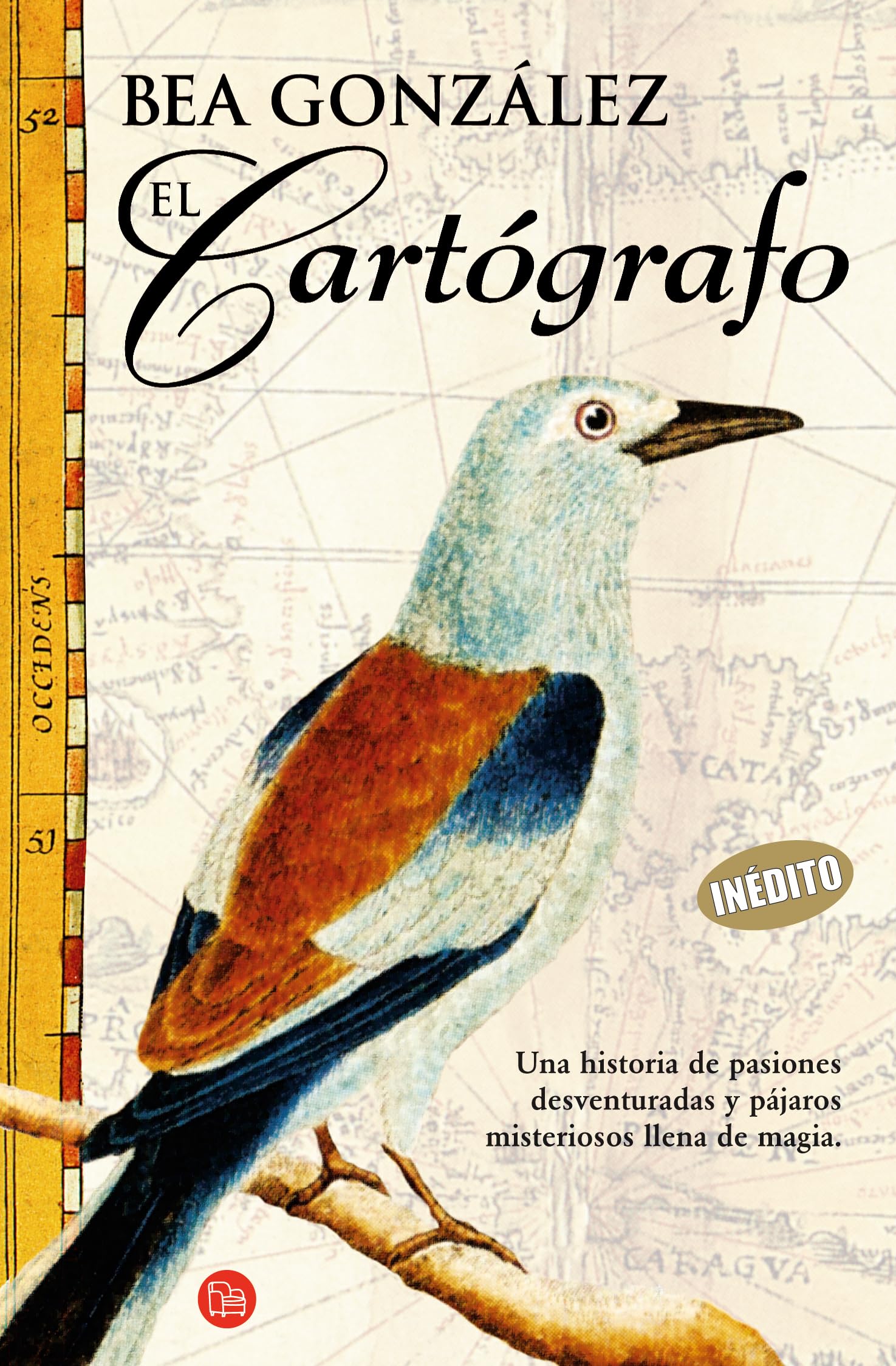 El cartógrafo (FORMATO GRANDE, Band 730014) Contemporary literature