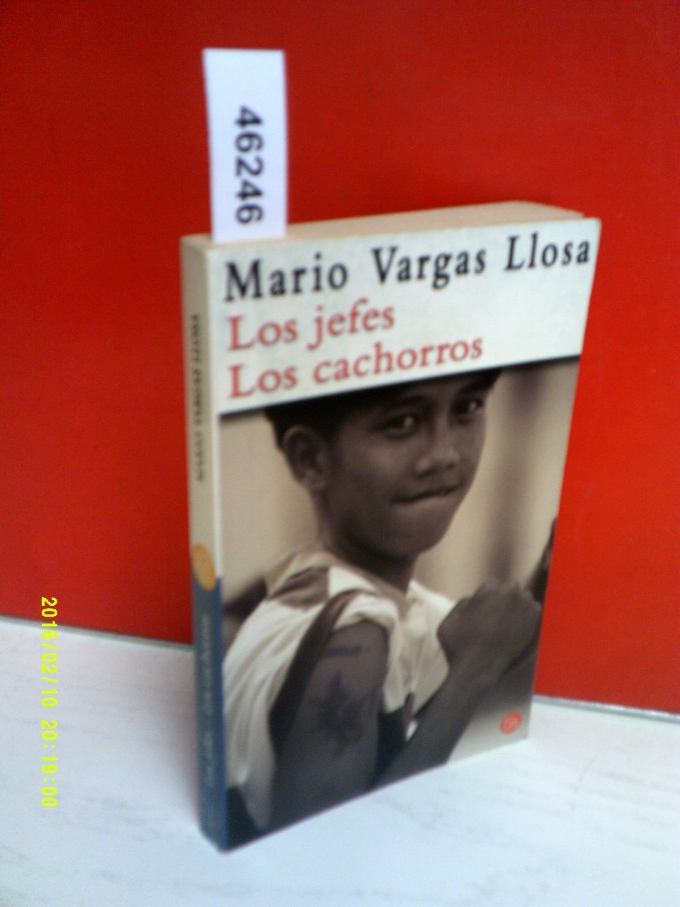 LOS JEFES Y LOS CACHORROS PDL Travel