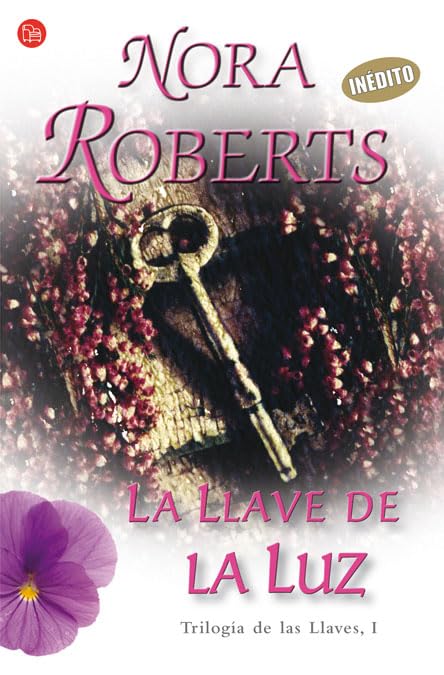 La llave de la luz (FORMATO GRANDE, Band 730014) Contemporary literature