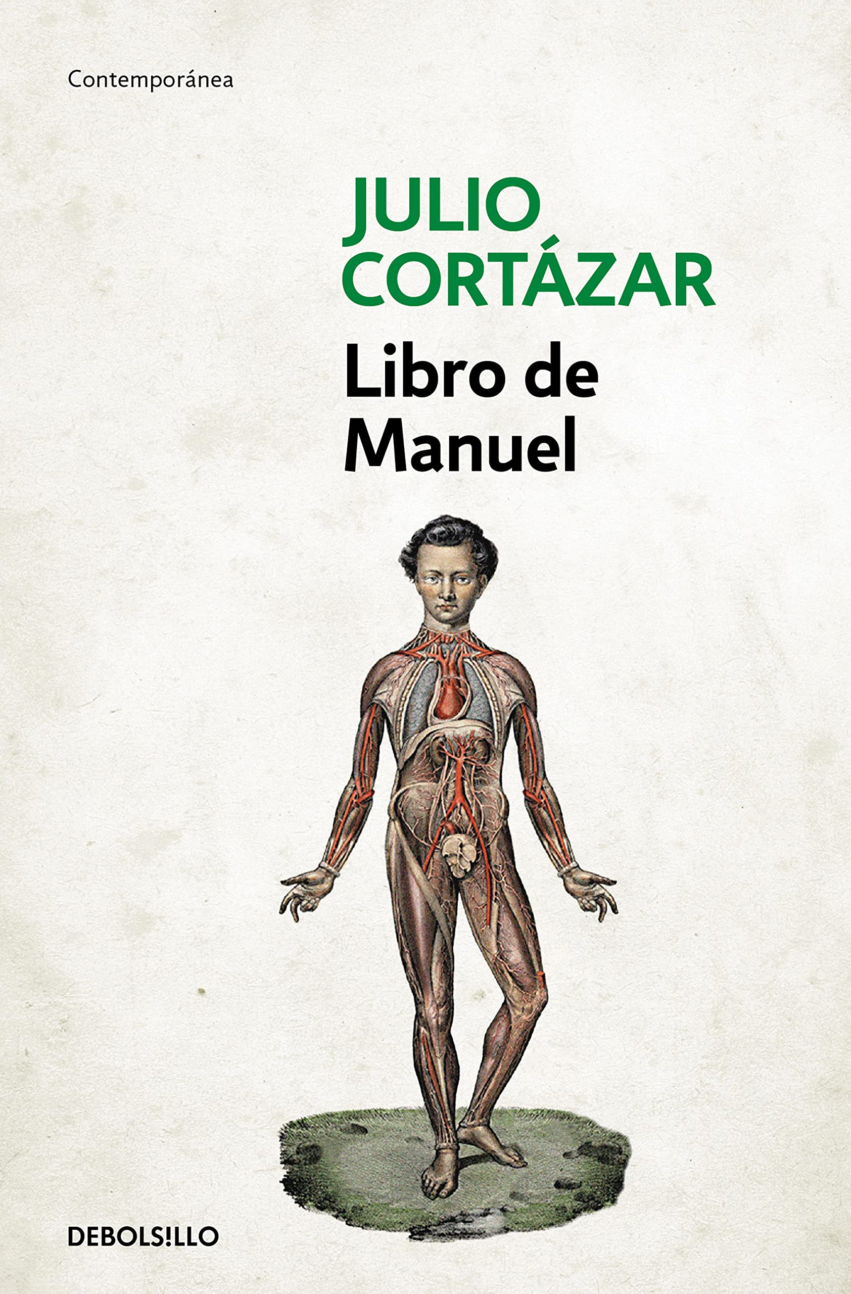 Libro de Manuel / A Manual for Manuel (Contemporánea) Contemporary literature