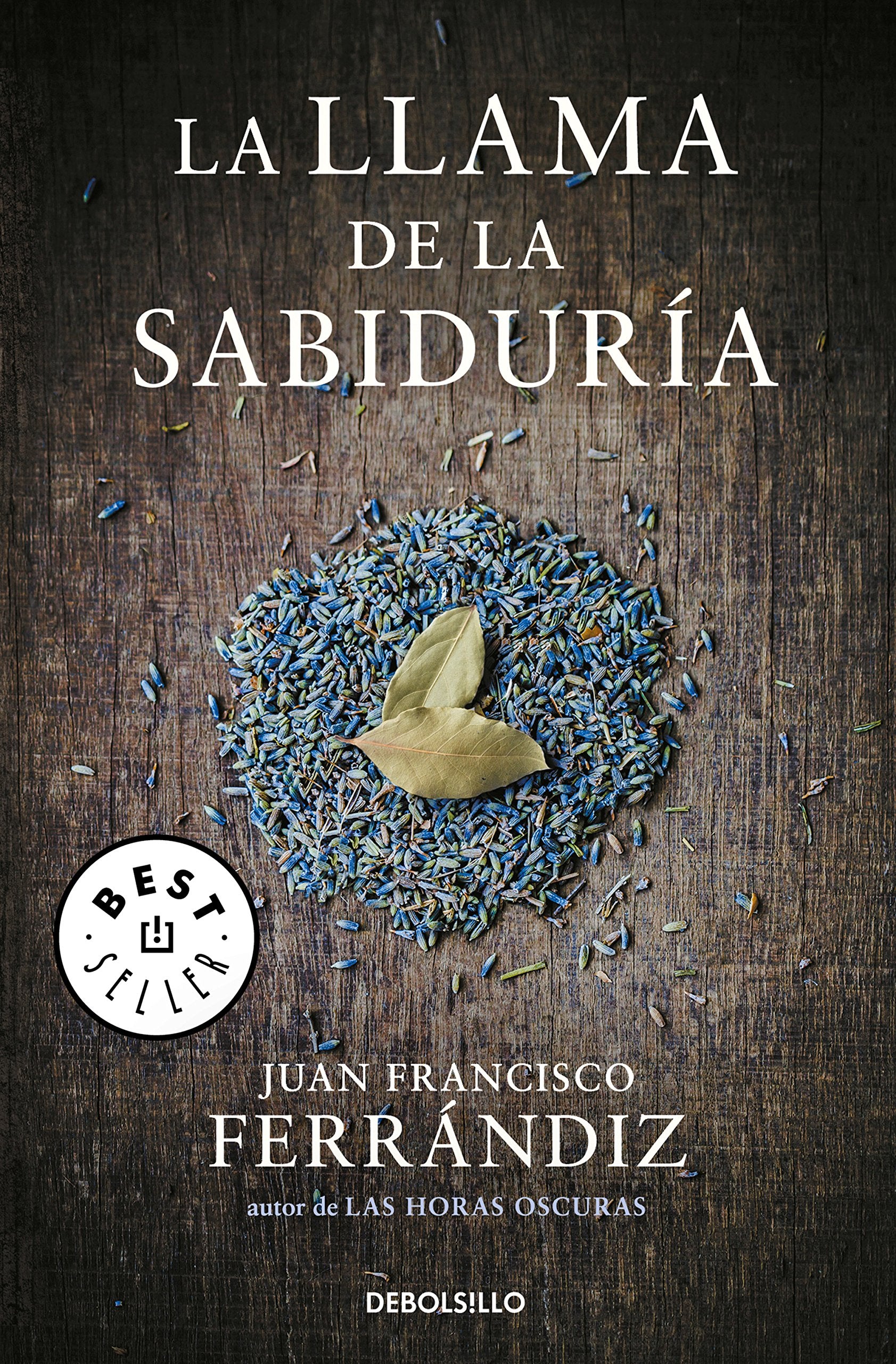 La Llama de la Sabiduria (the Flame of Wisdom) (Best Seller) Historical Fiction