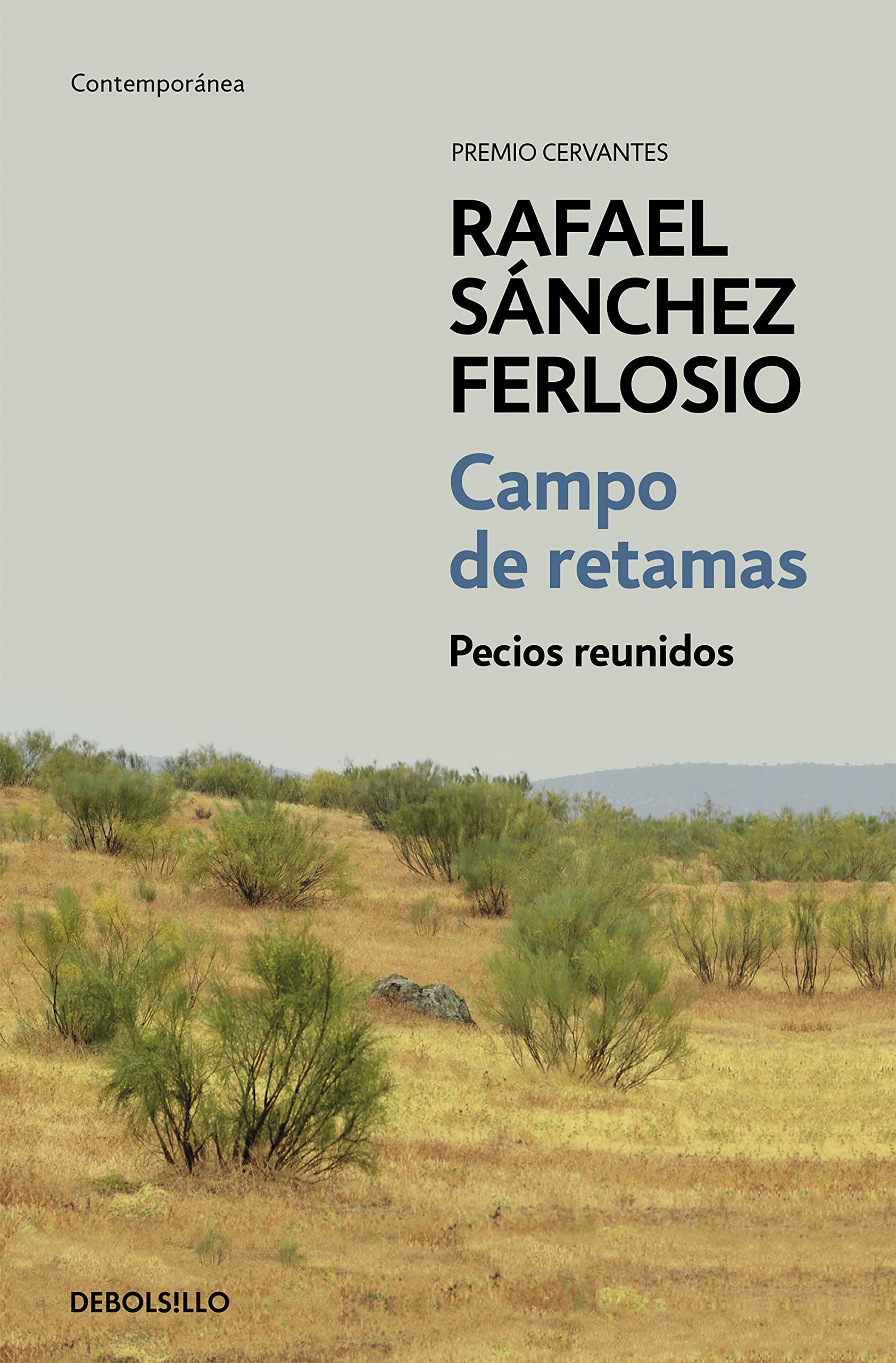 Campo de retamas : todos los pecios Contemporary literature