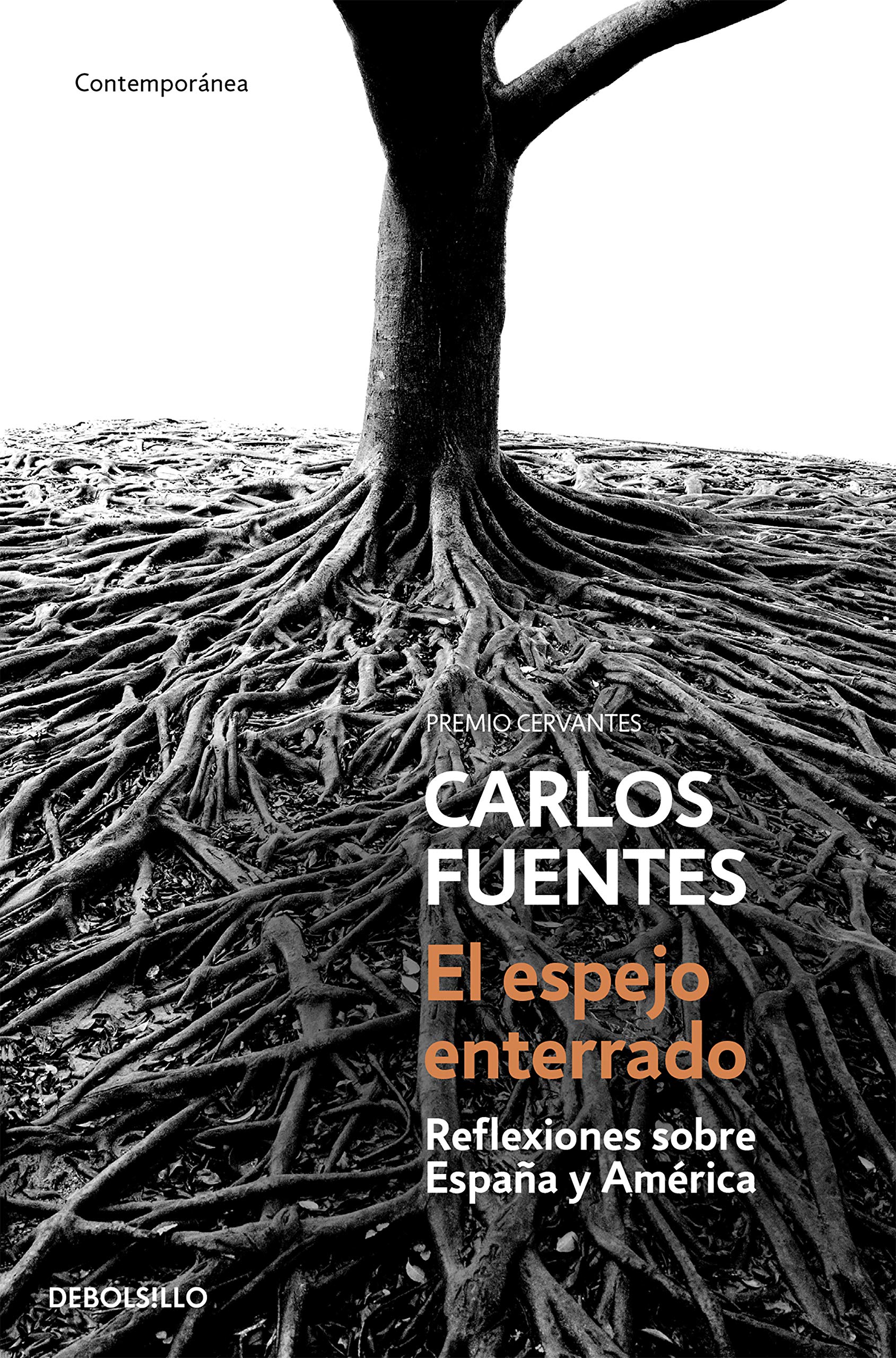 El espejo enterrado (Contemporánea) Contemporary literature