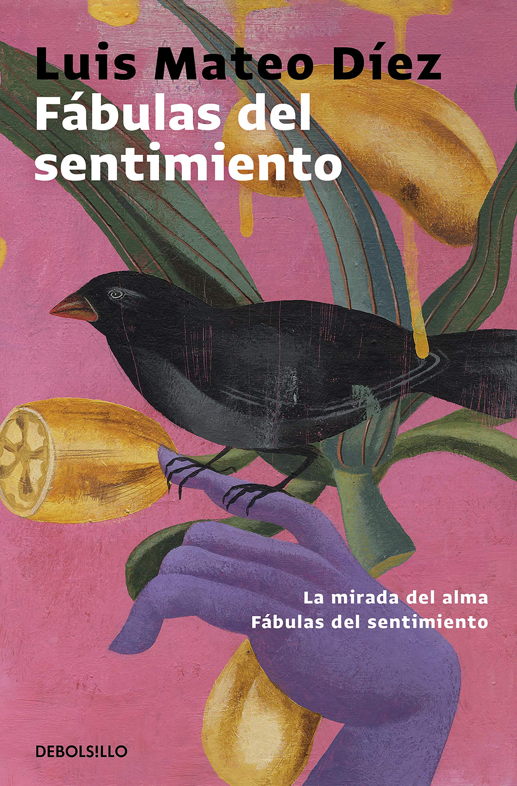 Fábulas del sentimiento : La mirada del alma ; Fábulas del sentimiento Contemporary literature