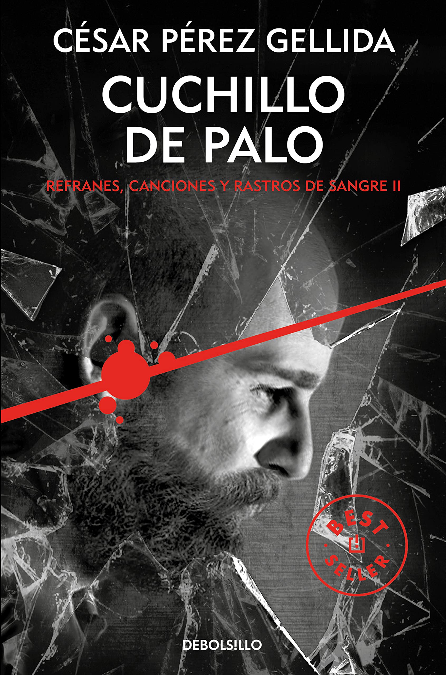 Cuchillo de palo (Best Seller, Band 2) Contemporary literature