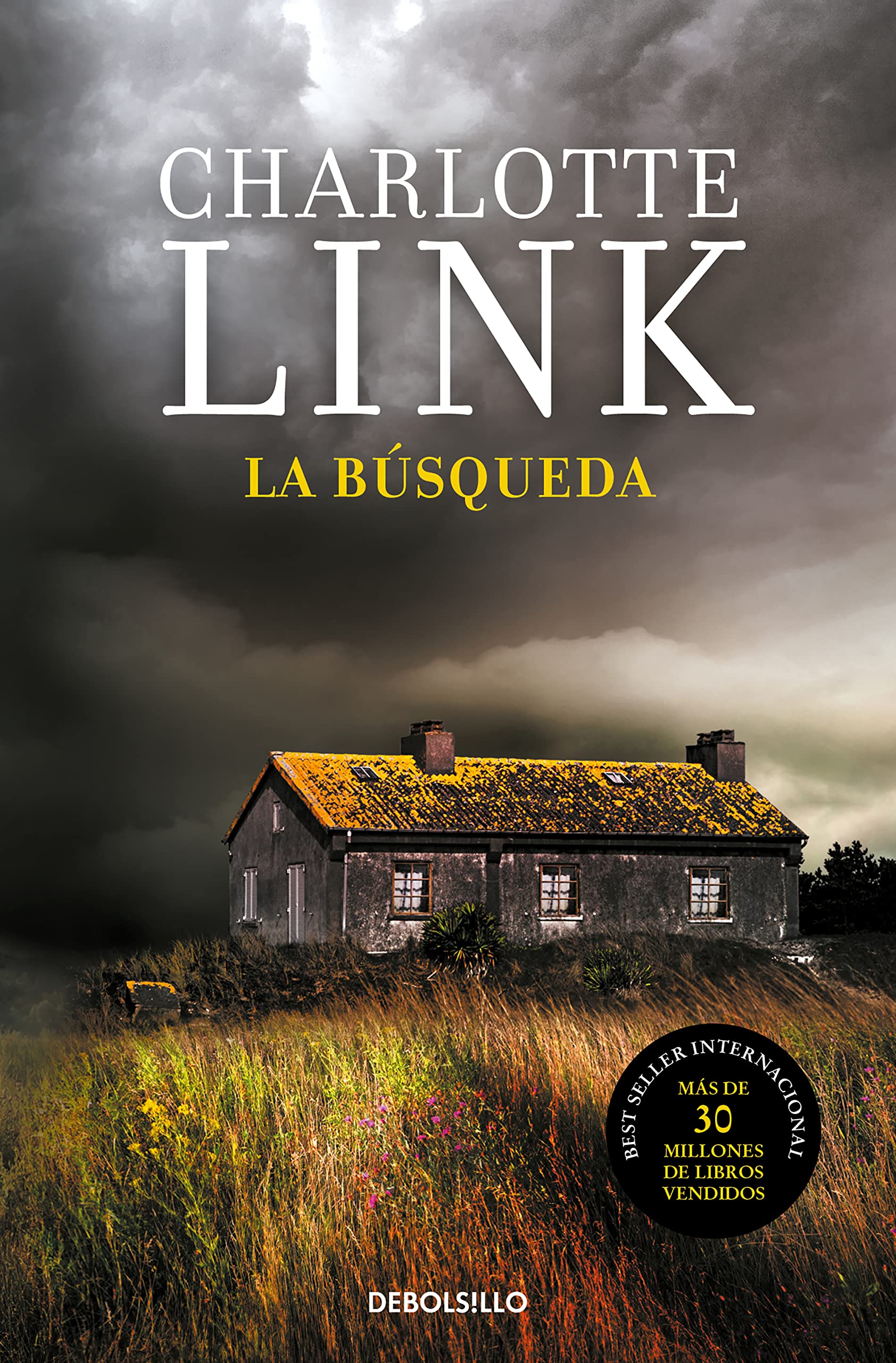 La búsqueda (Kate Linville & Caleb Hale 2) (Best Seller, Band 2) Action & Adventure
