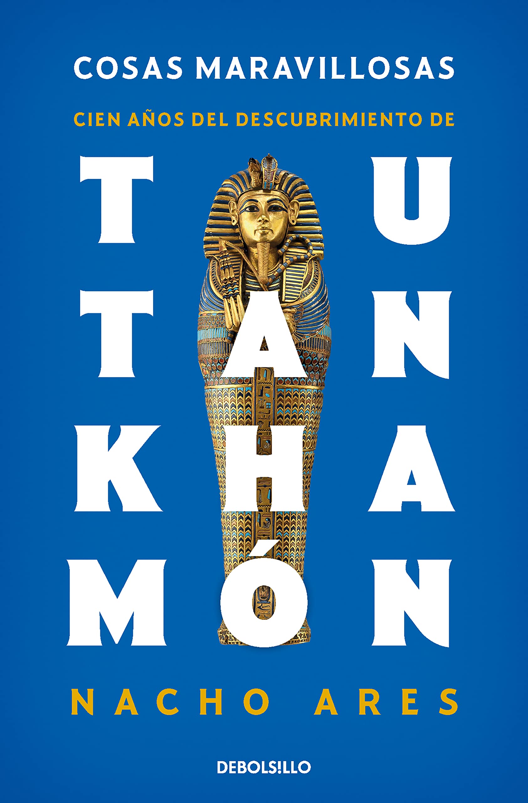 Cosas maravillosas. Cien años del descubrimiento de Tutankhamón (Best Seller) Social Sciences