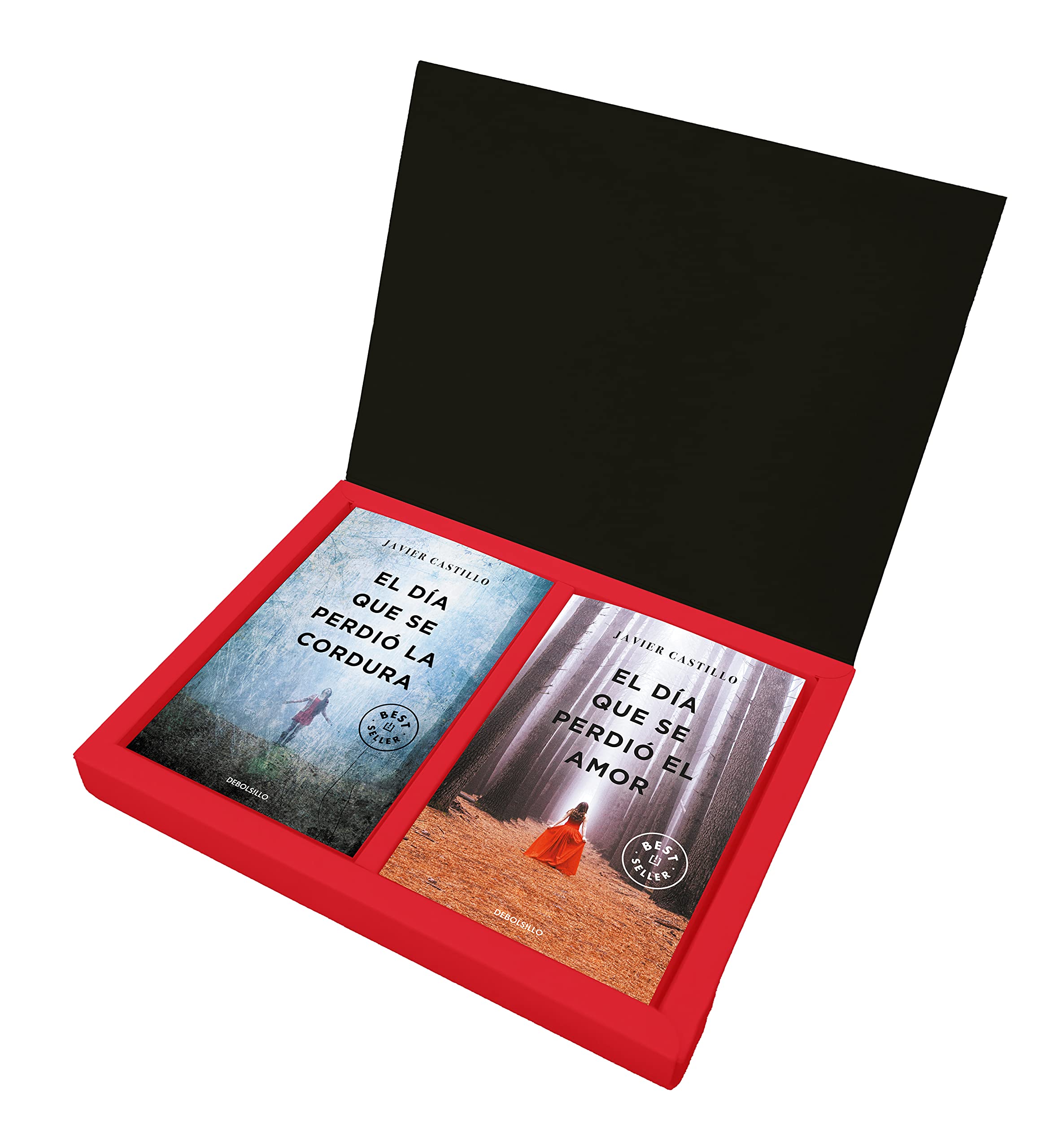 Estuche Javier Castillo (El día que se perdió la cordura y El día que se perdió el amor) (Edición limitada): (contiene: El día que se perdió la cordura | El día que se perdió el amor) book
