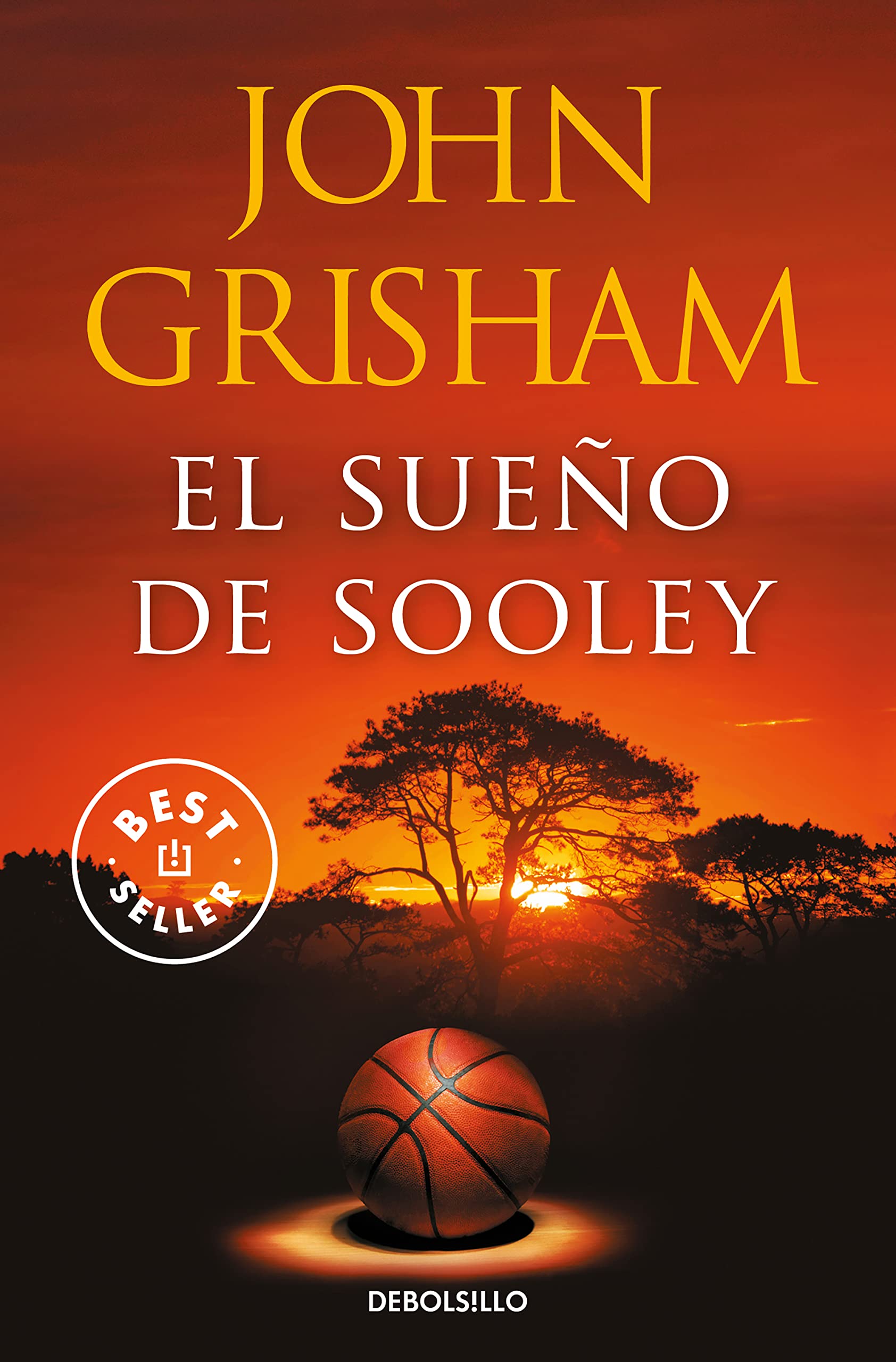 El sueño de Sooley (Best Seller) Contemporary literature