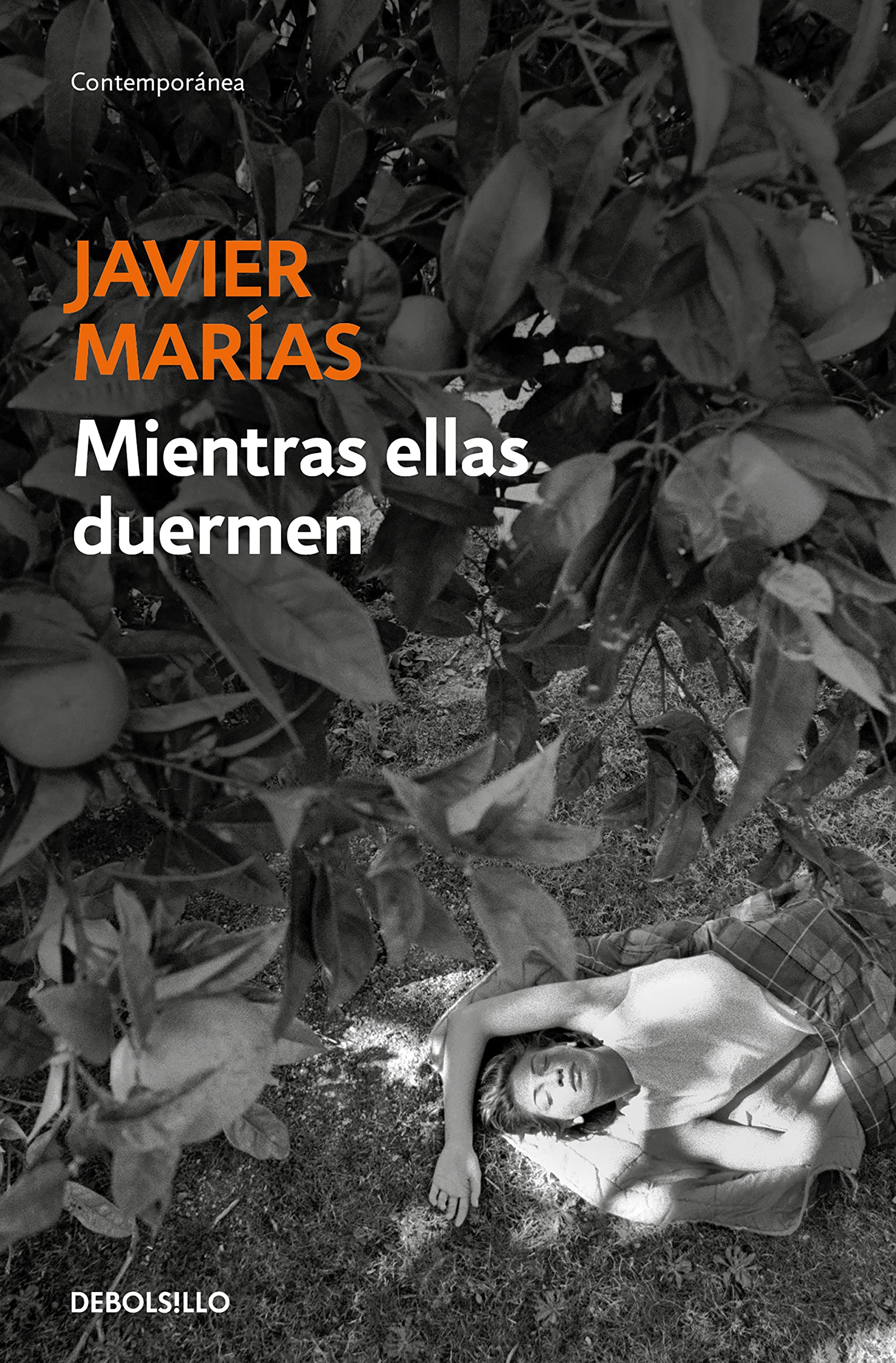 Mientras ellas duermen / While the Women Are Sleeping book