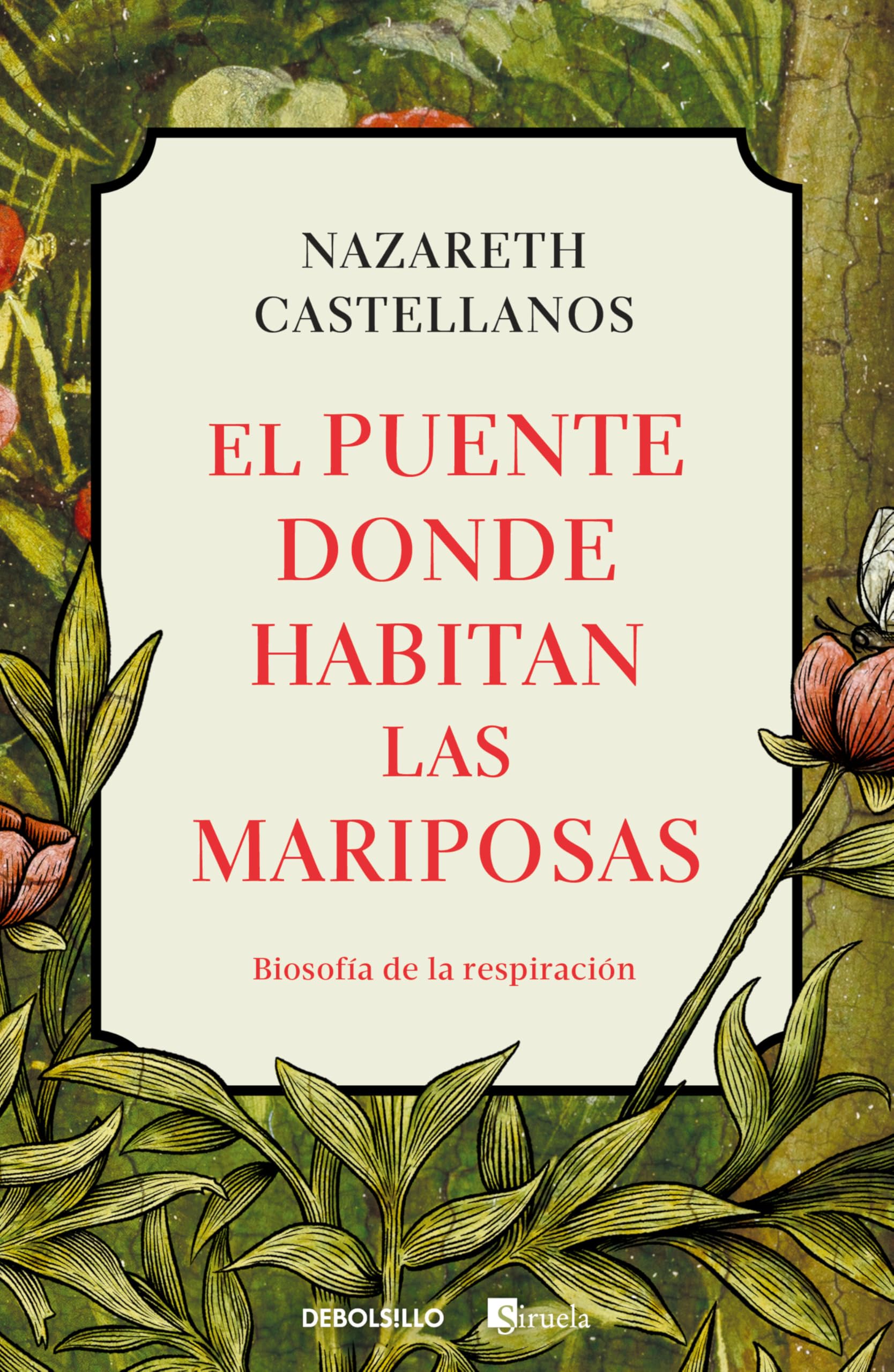 El Puente Donde Habitan Las Mariposas / The Bridge Where Butterflies Dwell Medicine