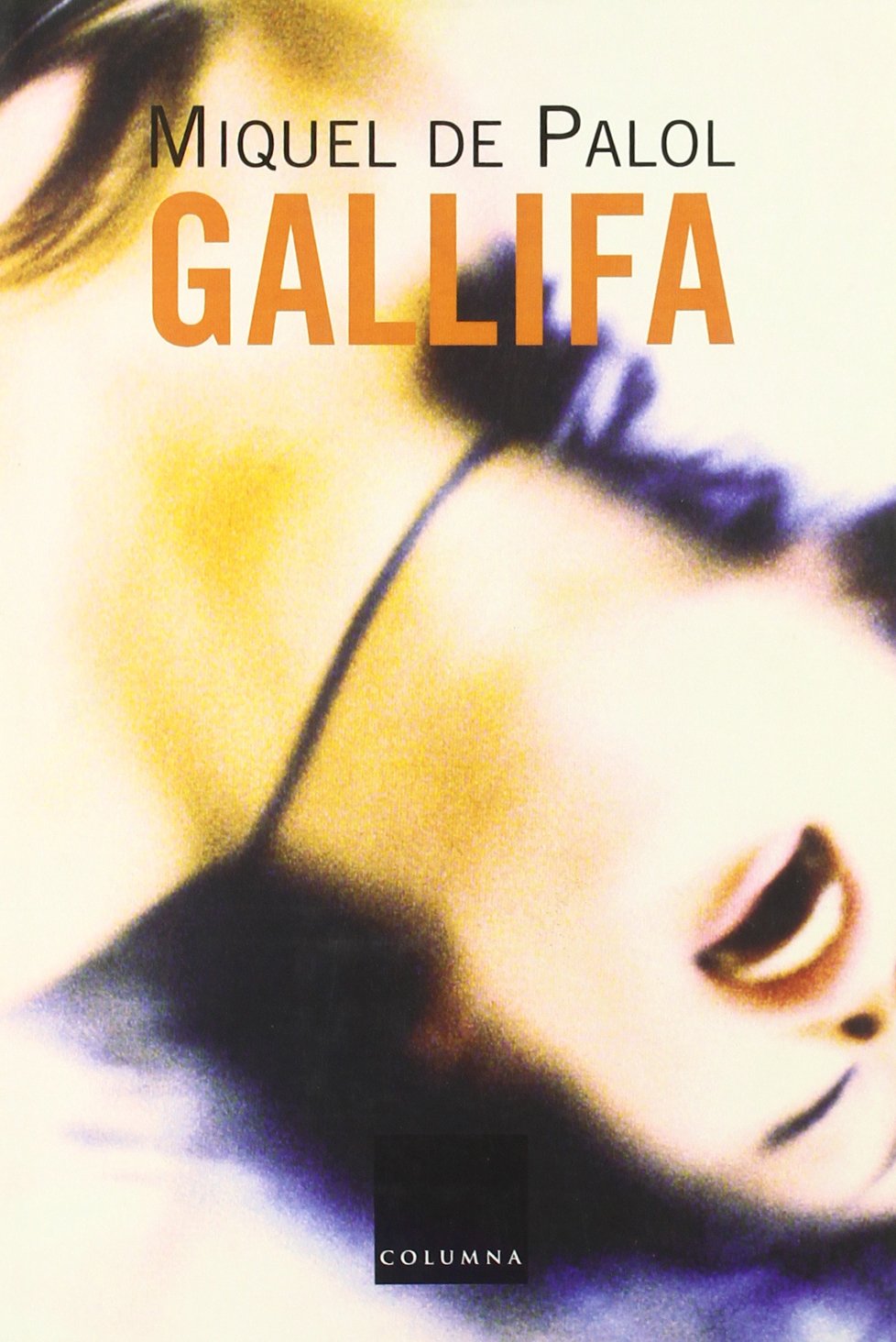 Gallifa: Exercicis Sobre El Punt de Vista IIII: Conte (Clàssica) Contemporary literature