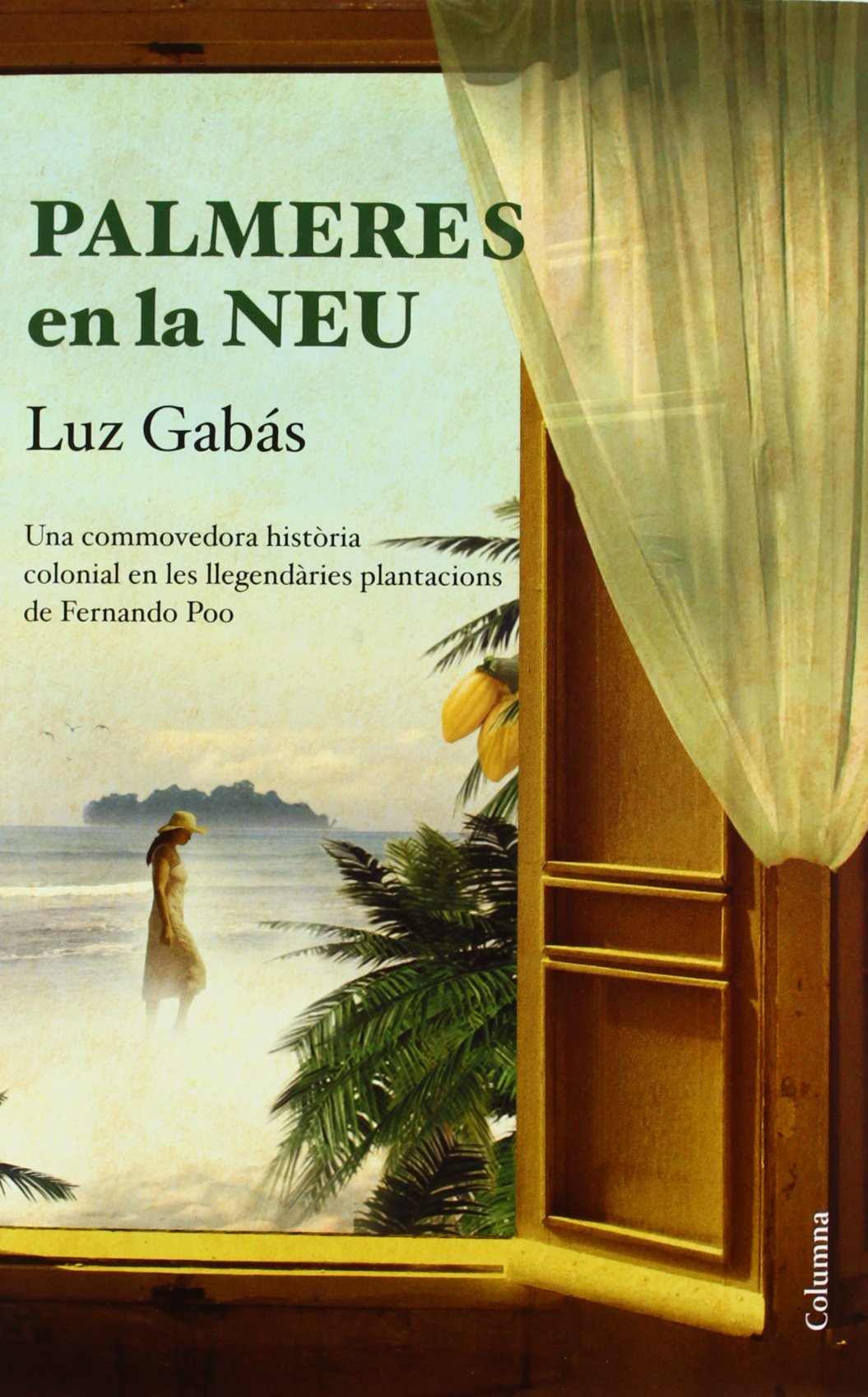 Gabás, L: Palmeres en la neu book