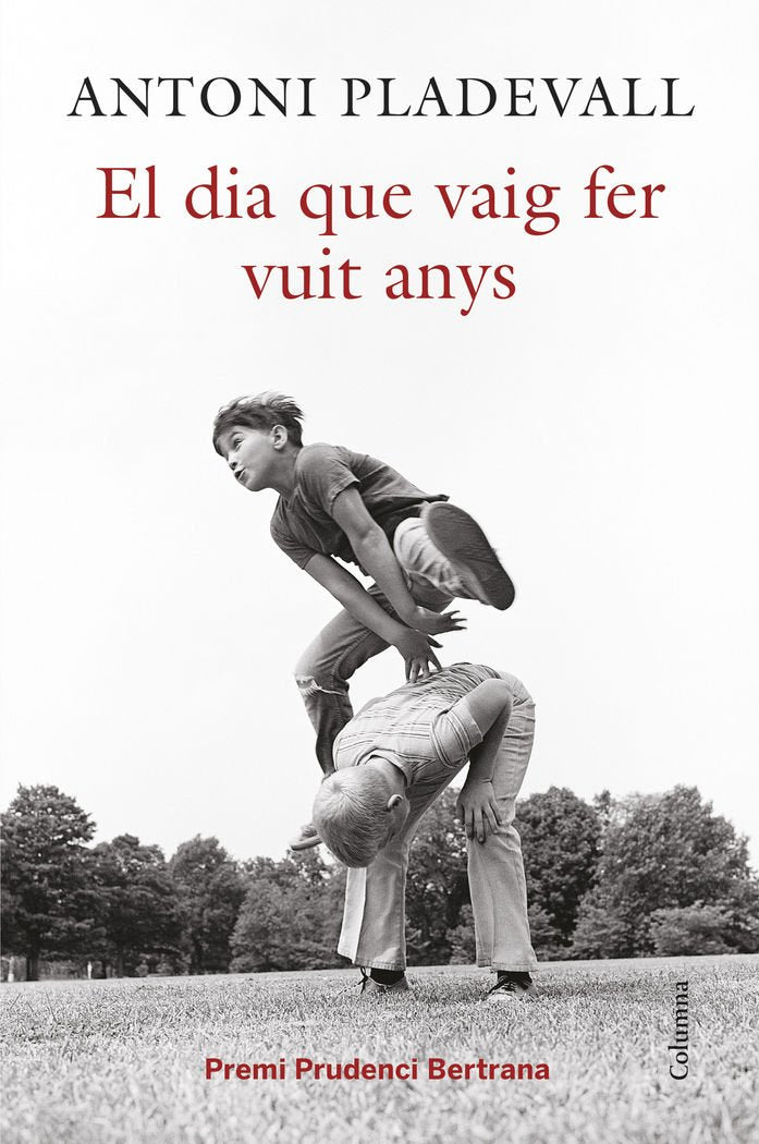 El dia que vaig fer vuit anys book