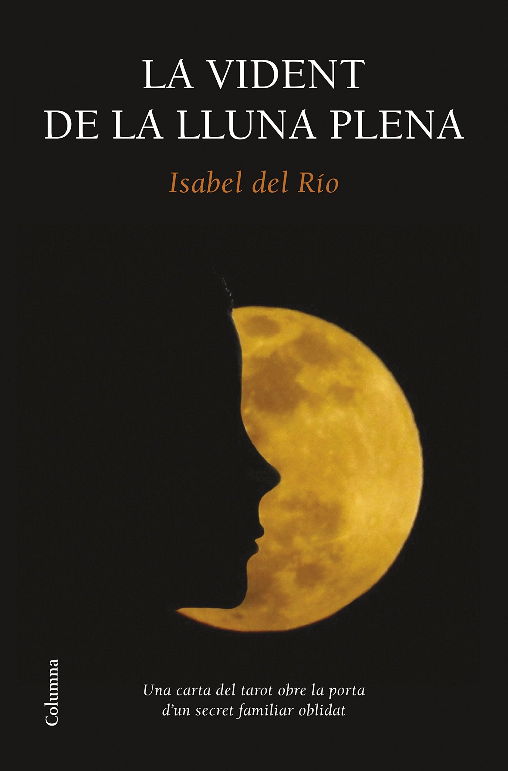Río Sanz, I: Vident de la lluna plena book