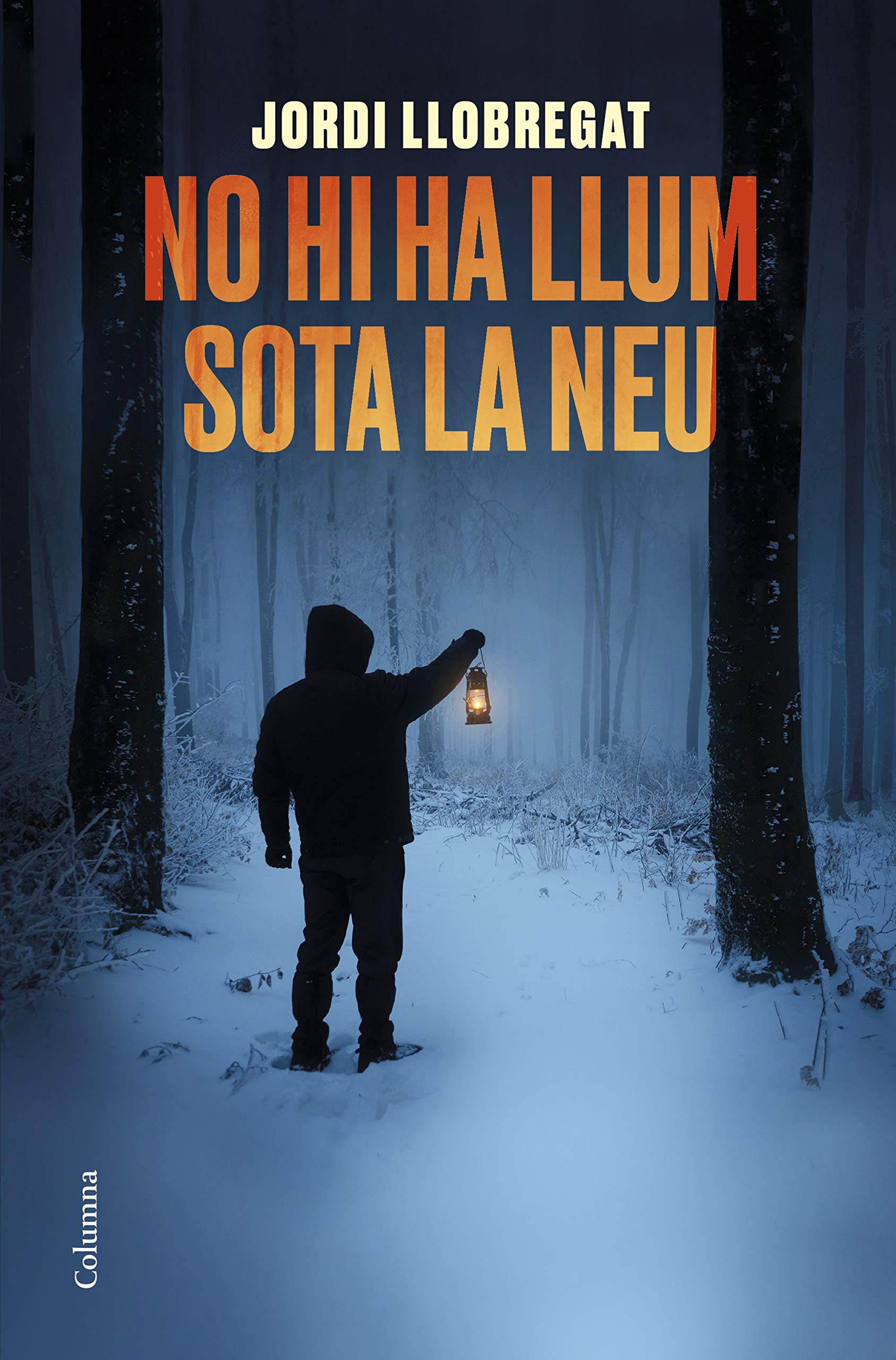No hi ha llum sota la neu International