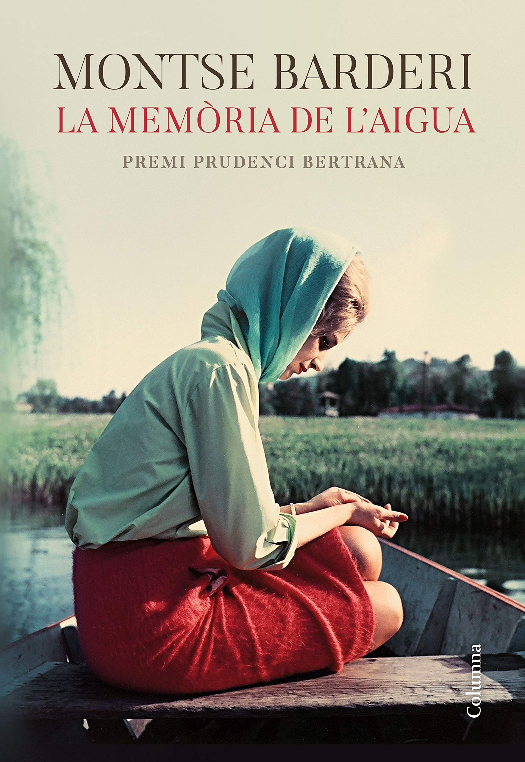 La memòria de l'aigua: Premi Prudenci Bertrana 2019 book