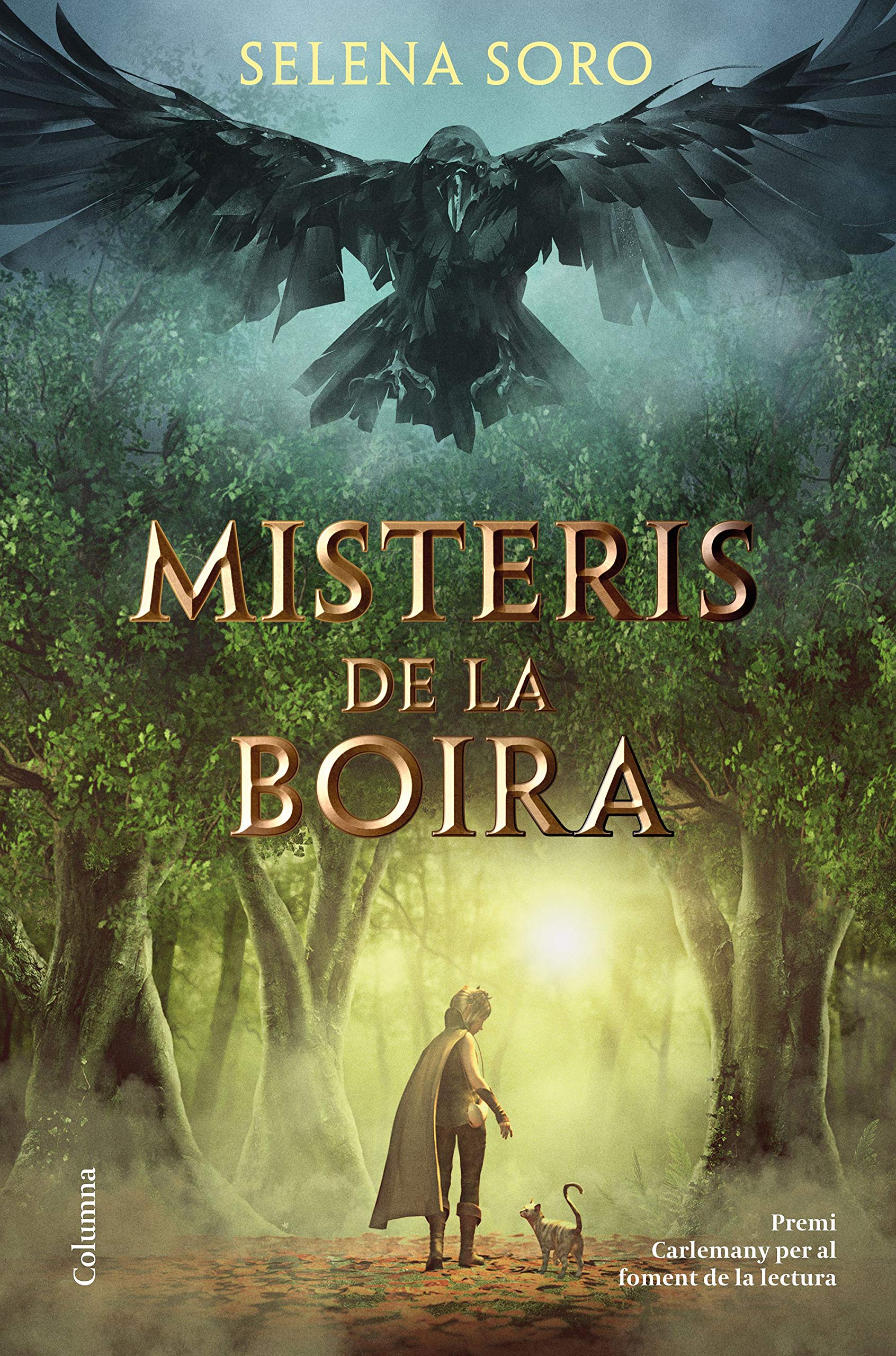 Misteris de la boira: IX Premi Carlemany per al Foment de la Lectura book