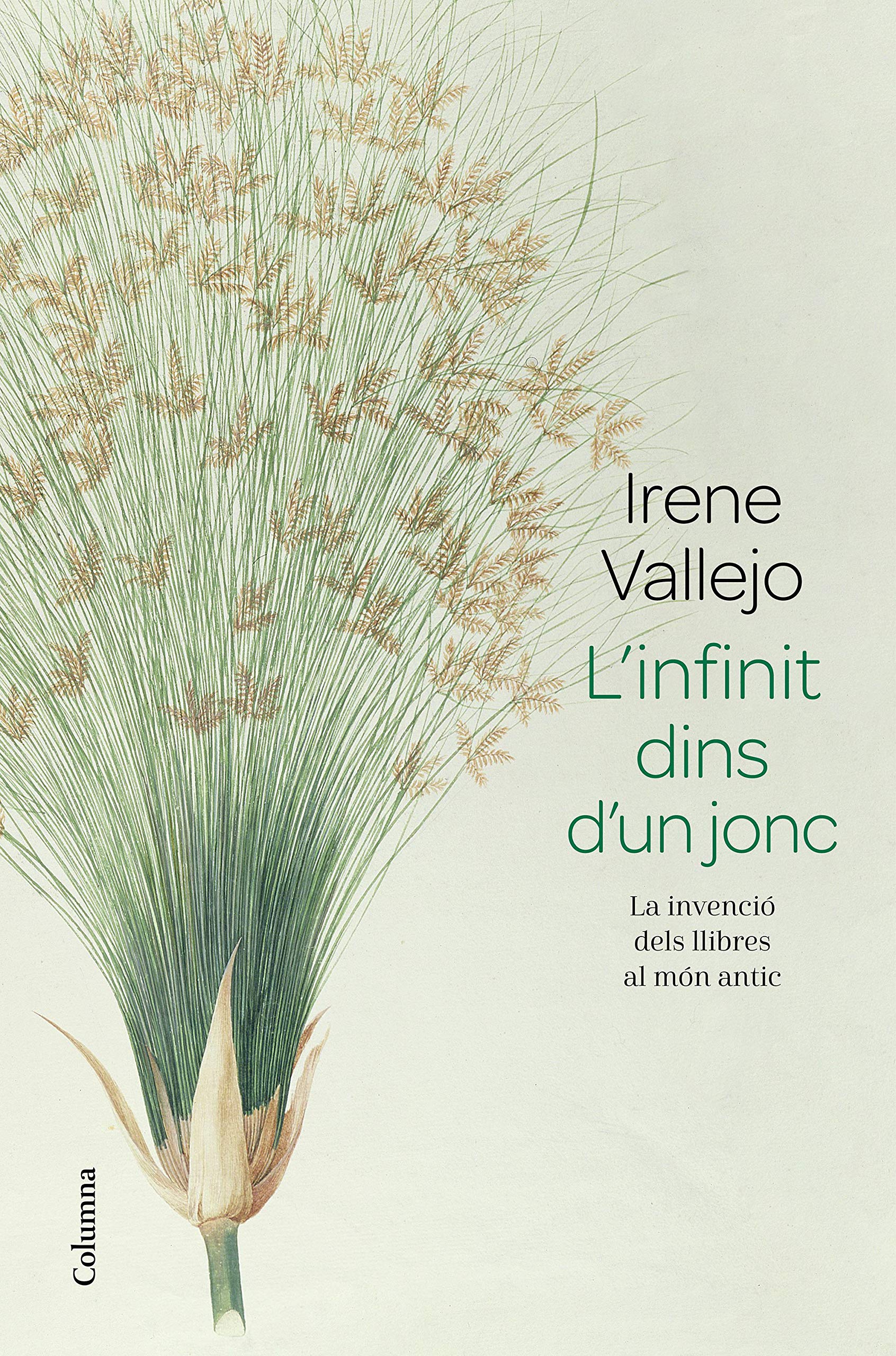 L'infinit dins d'un jonc : La invenció dels llibres al món antic Essays & Short Stories