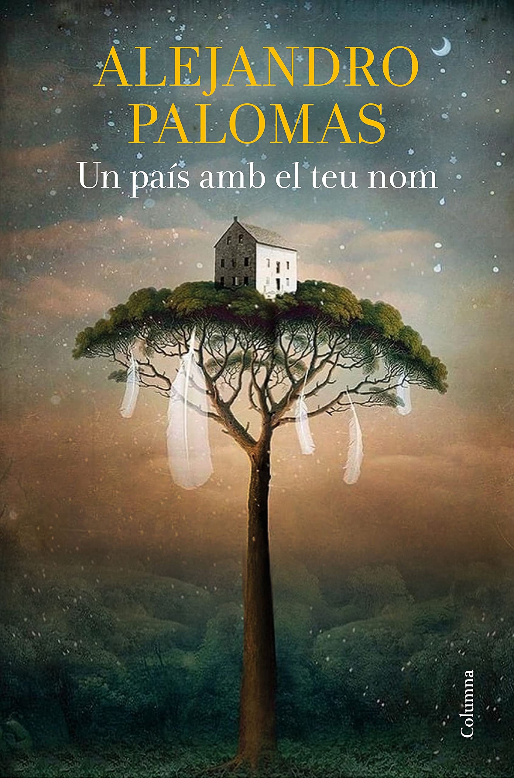Un país amb el teu nom (Clàssica, Band 1330) Contemporary literature