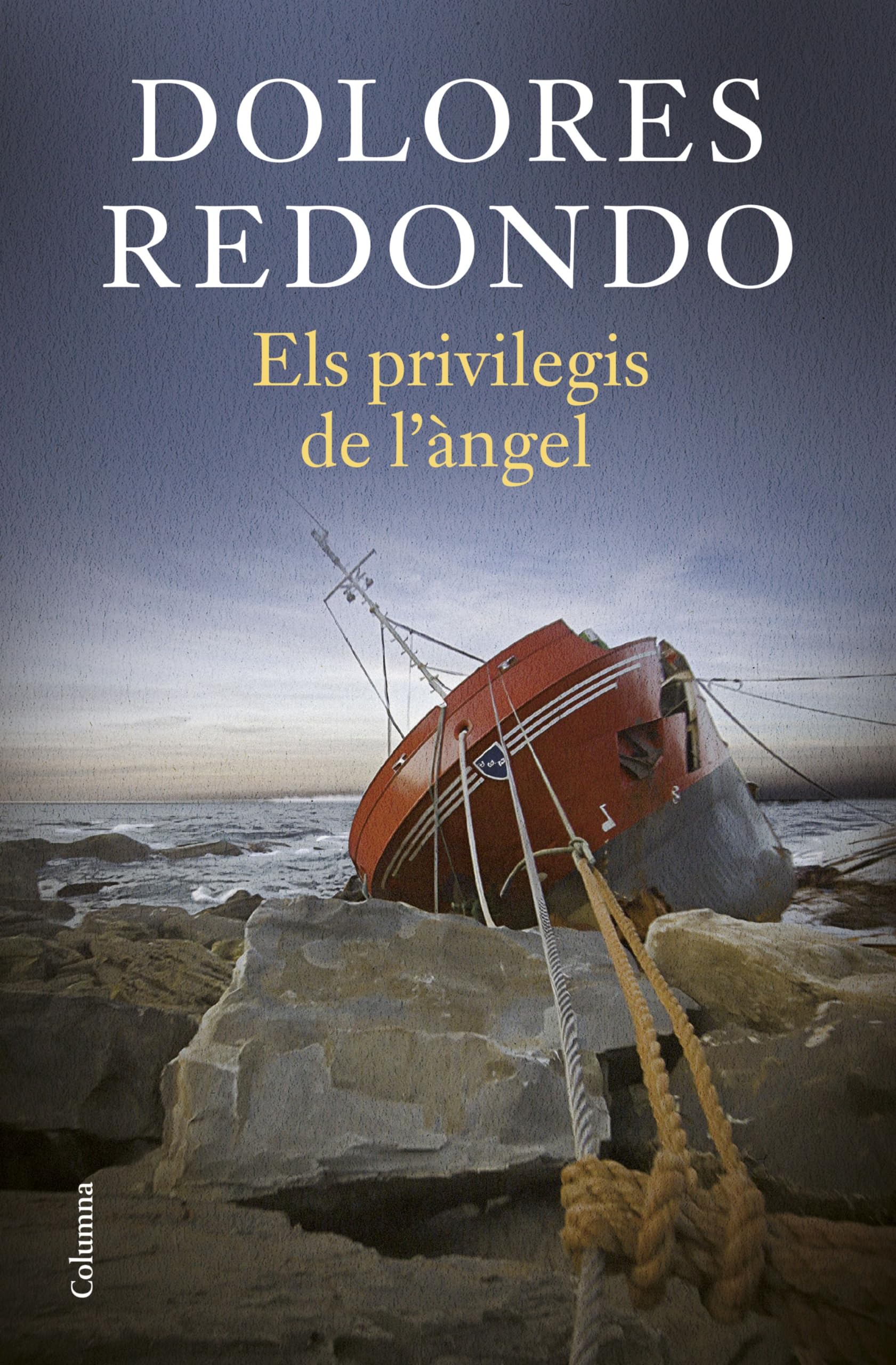 Els privilegis de l'àngel (Clàssica) Contemporary literature