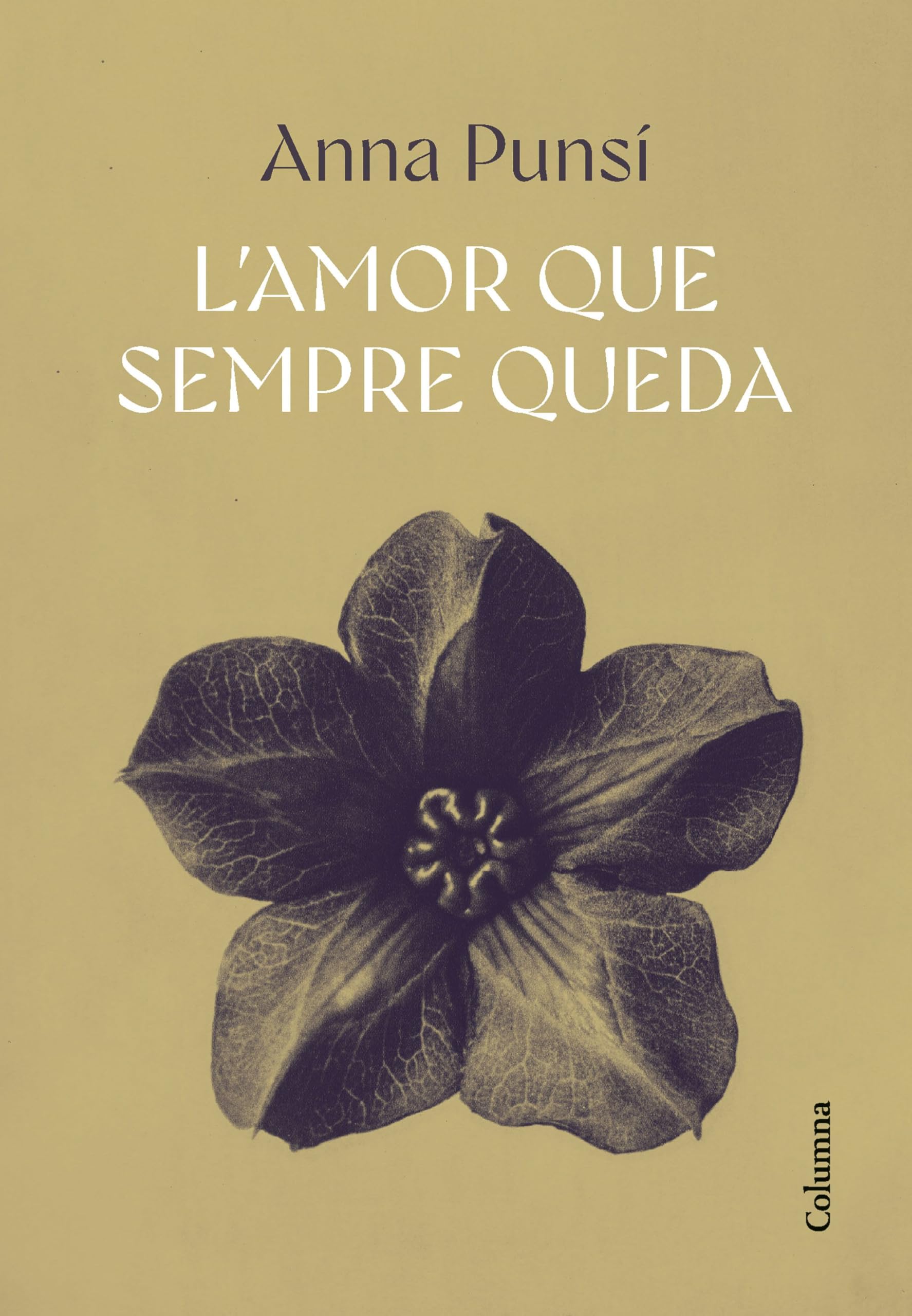 L'amor que sempre queda (NO FICCIÓ COLUMNA) Books