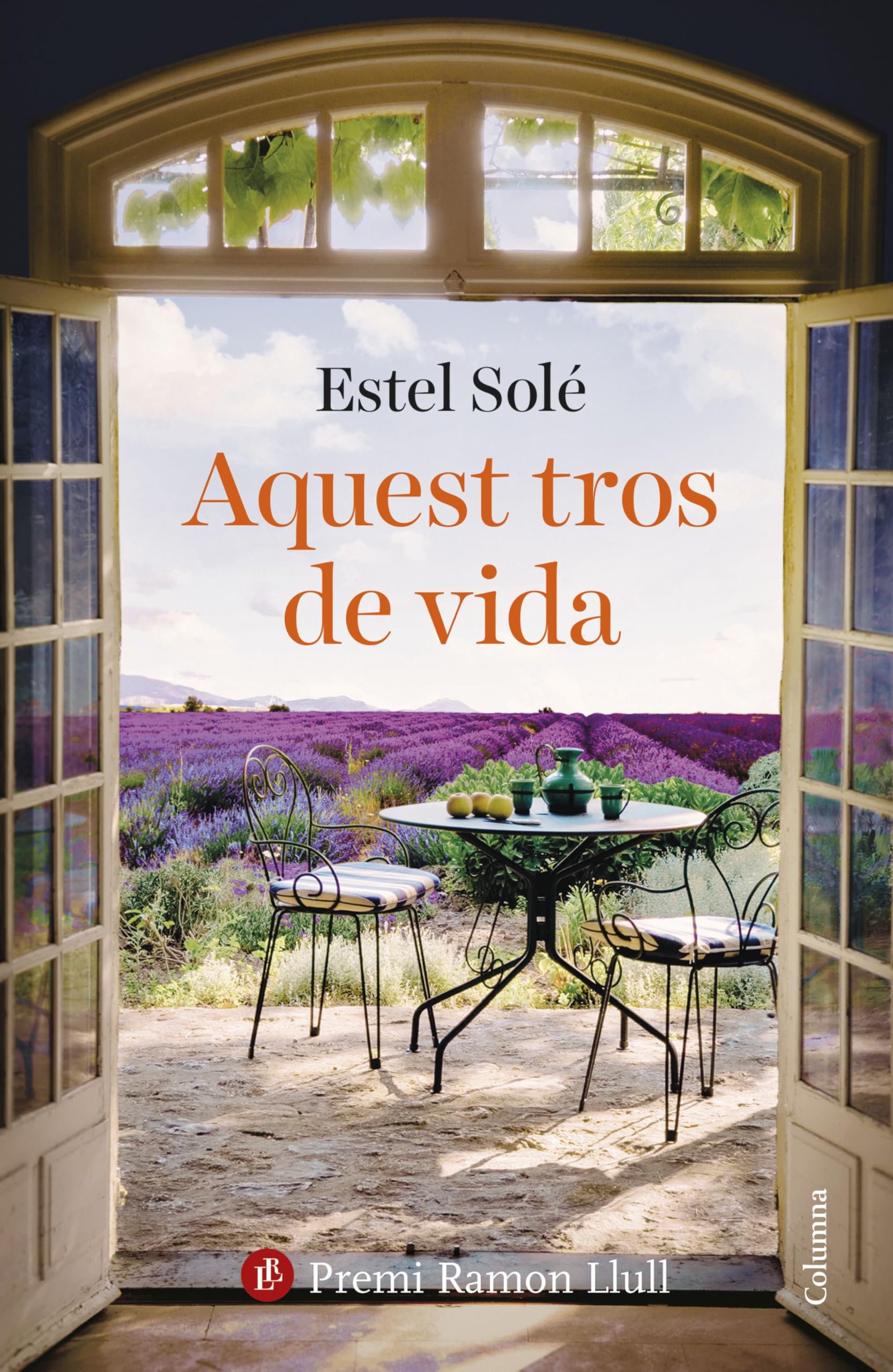 Aquest tros de vida: Premi Ramon Llull 2025 (Clàssica) Contemporary literature
