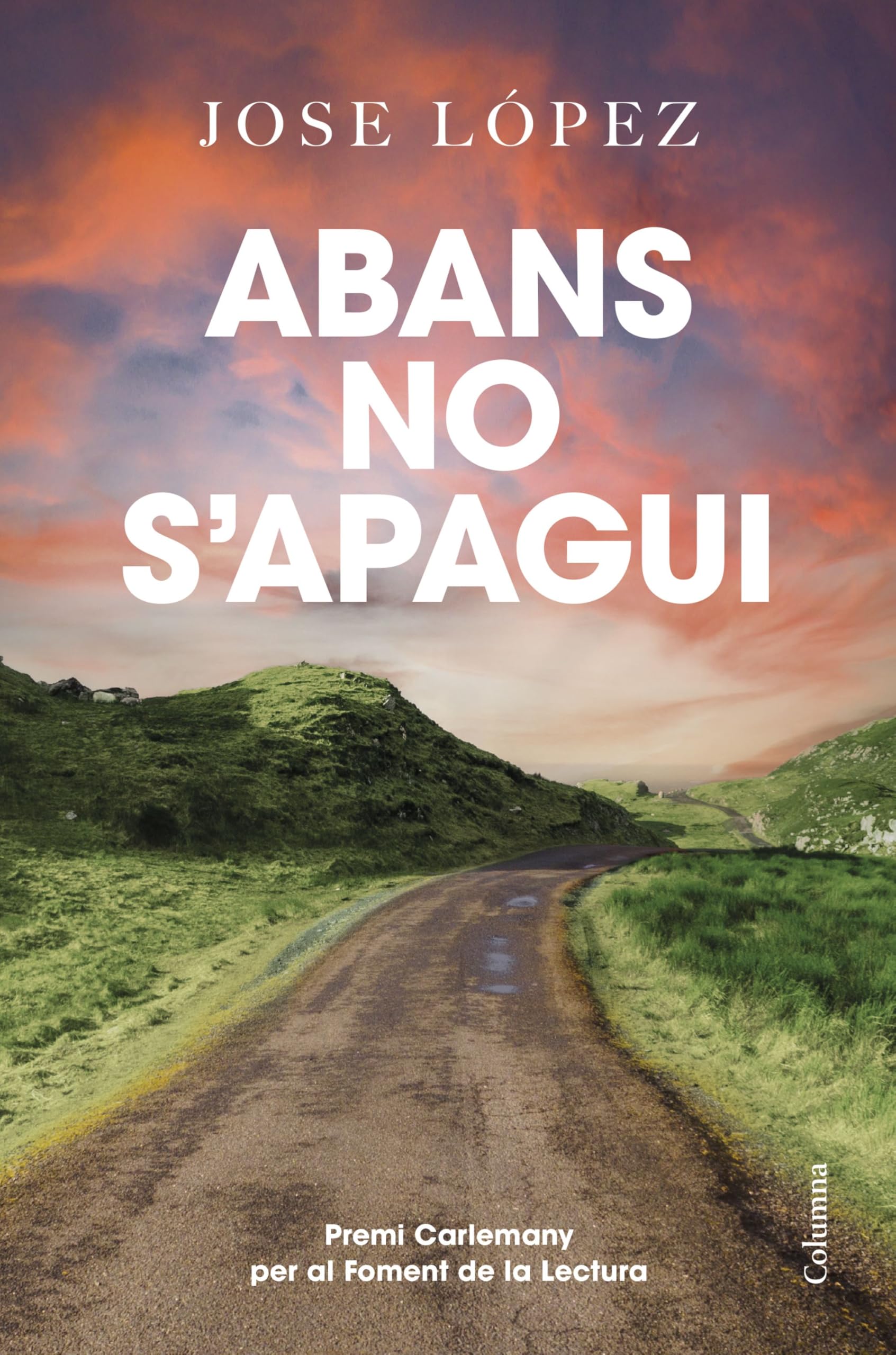 Abans no s'apagui: Premi Carlemany 2024 (Clàssica) Contemporary literature